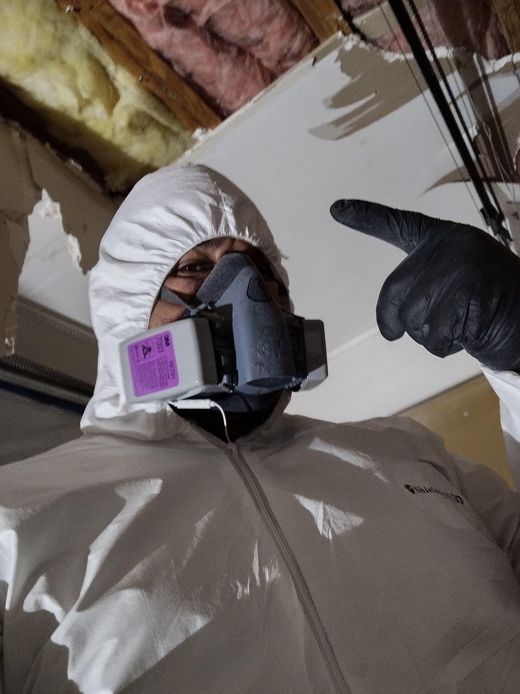 Water Damage, Inc. Image