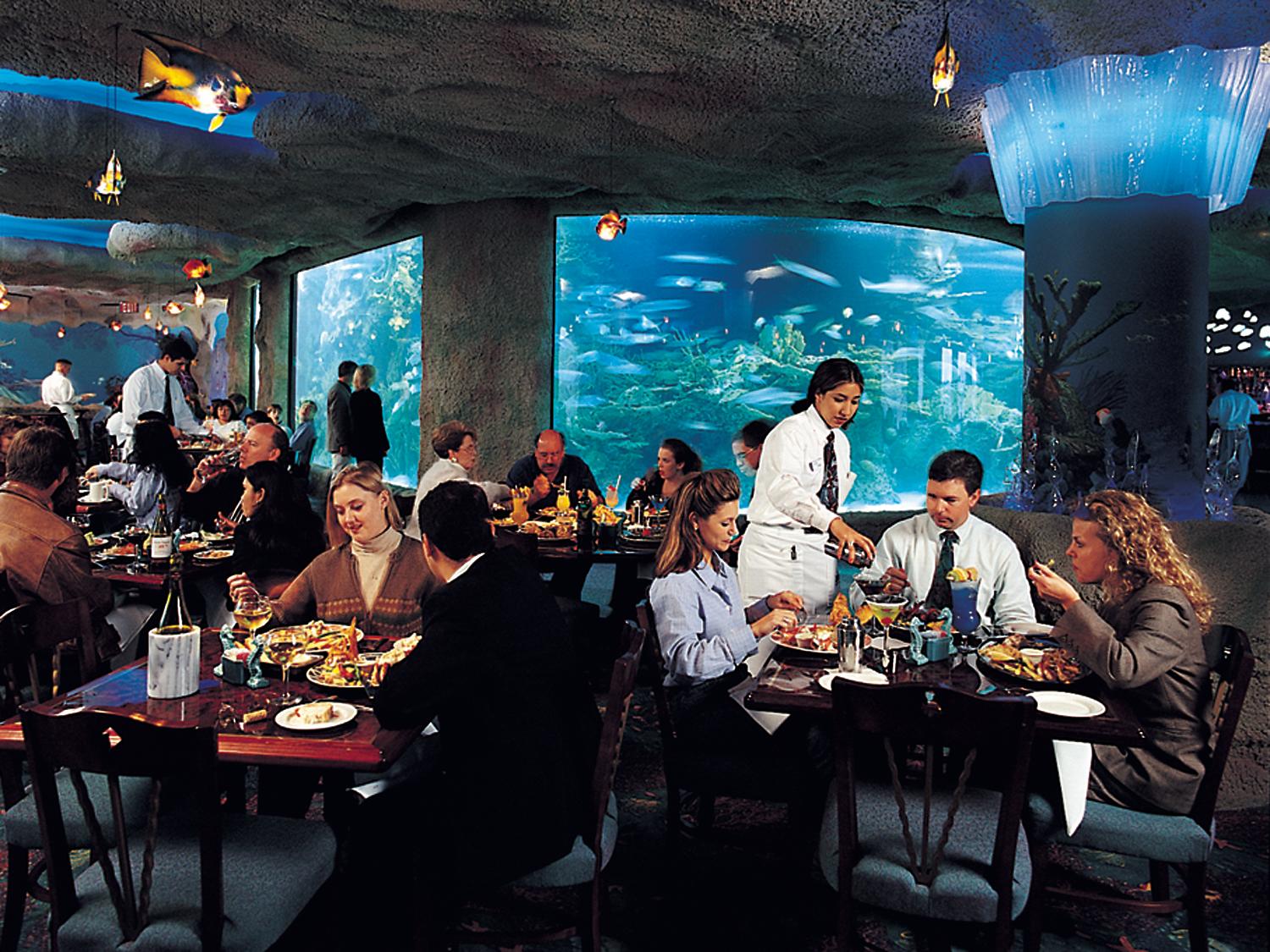 Aquarium Restaurant Photo