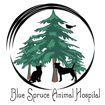 Blue Spruce Animal Hospital