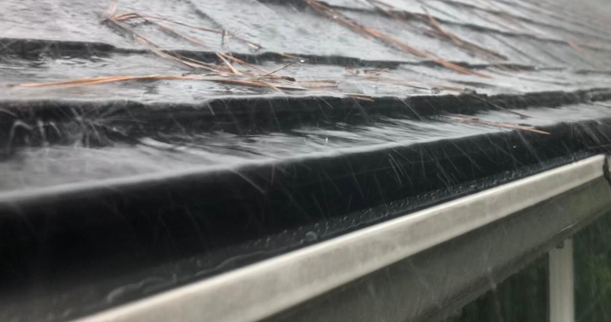 Evergreen Gutters Image