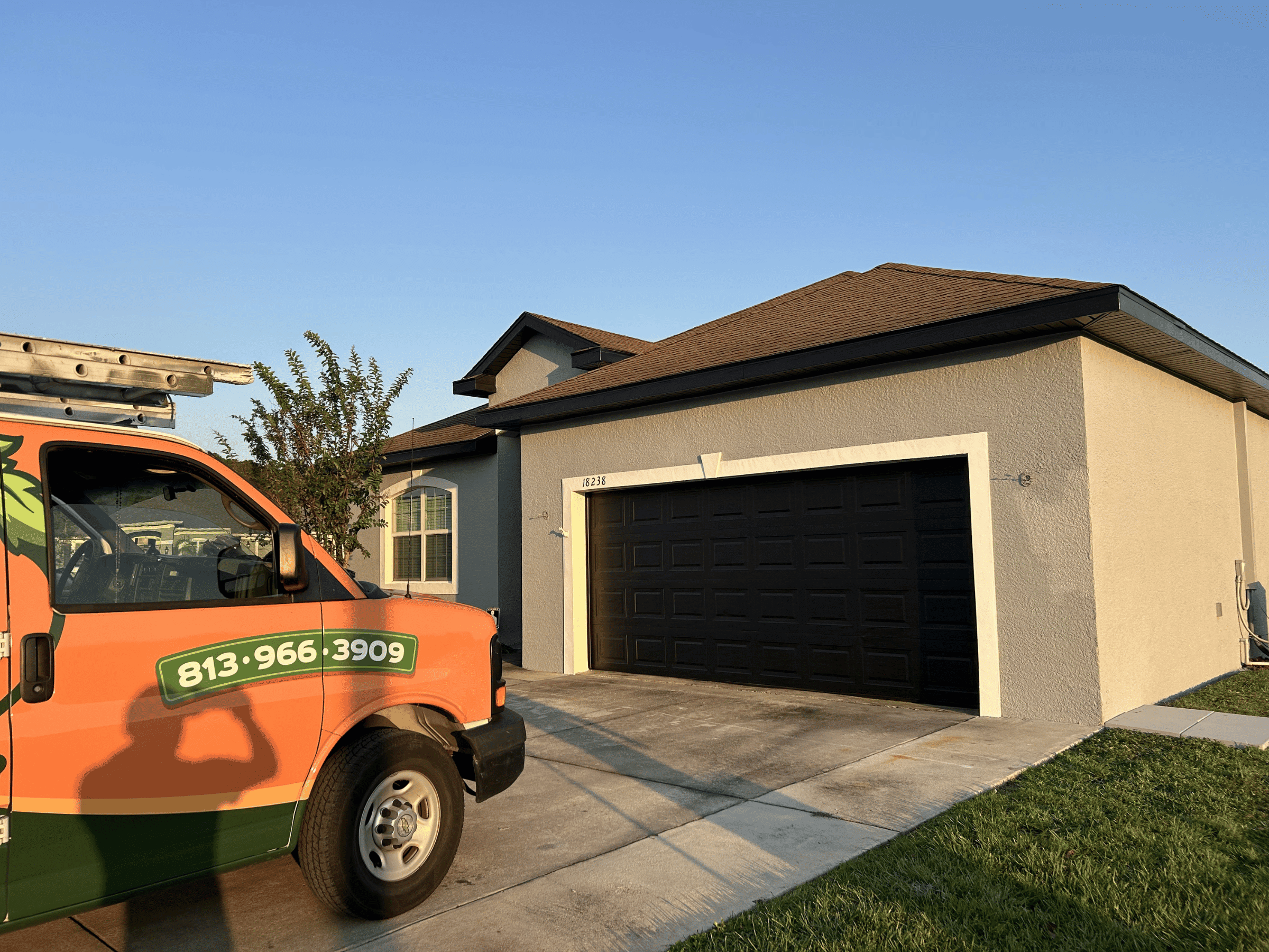 Peach Painting Image