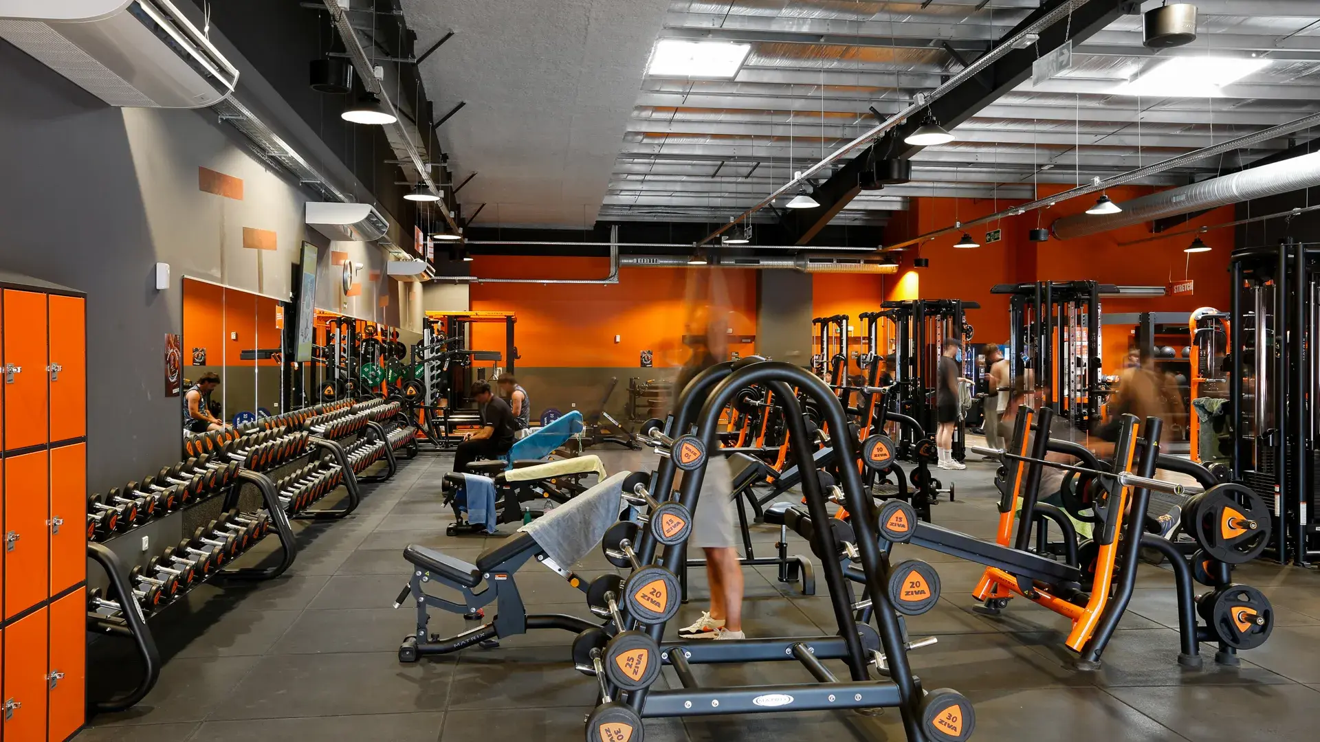 Miniature de la galerie