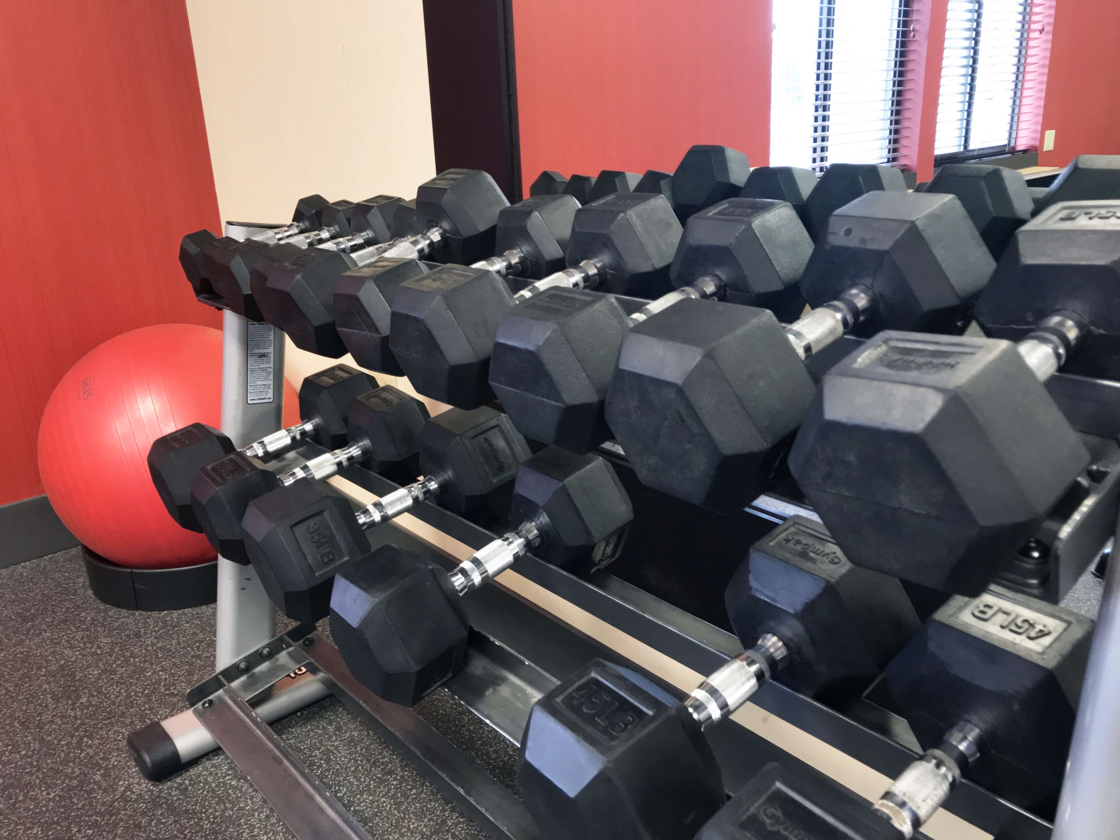 Health club  fitness center  gym