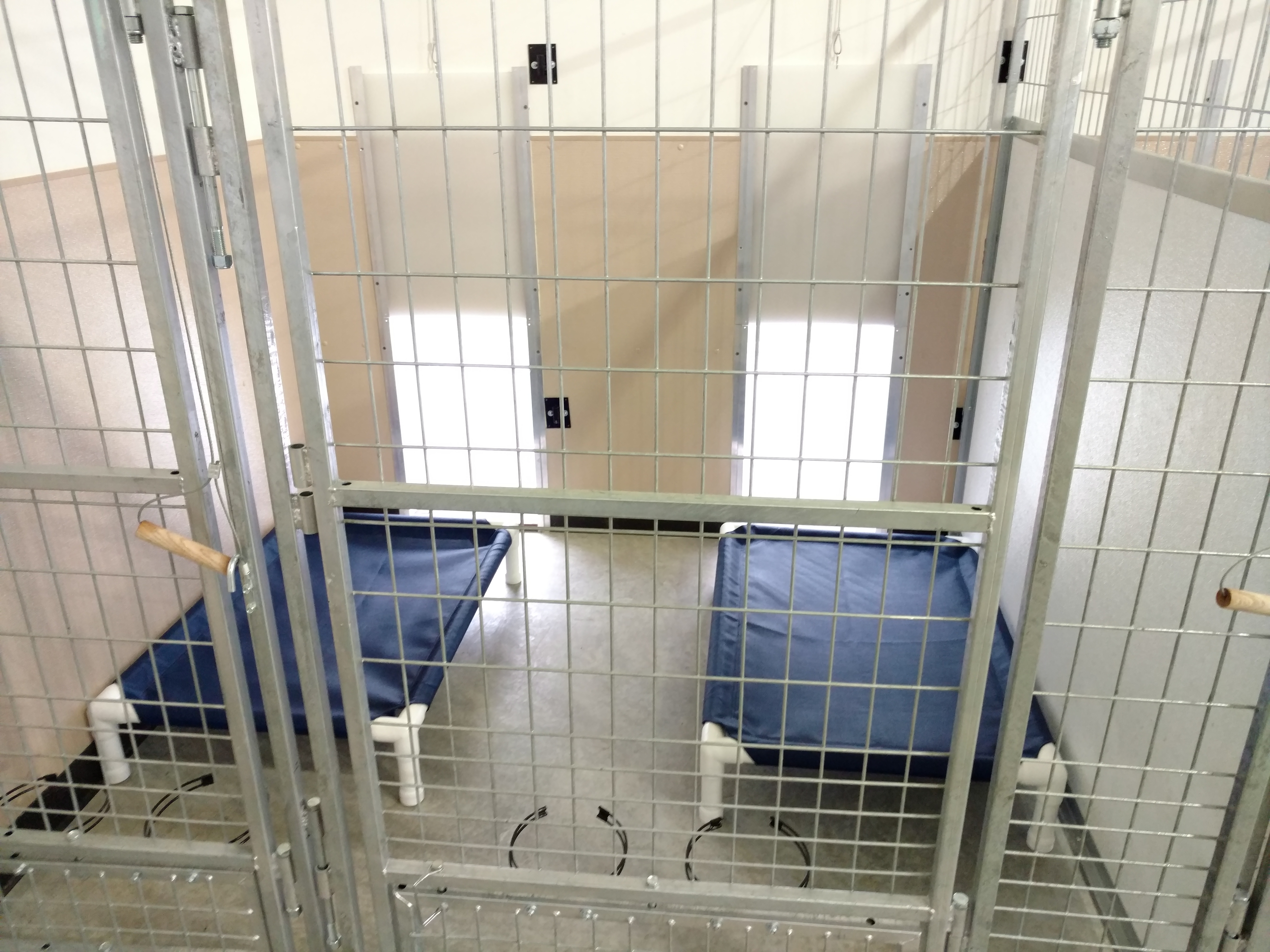 overnight kennels near me daisey s doggie retreat coupons near me in voorheesville 8coupons overnight kennels near me daisey s doggie retreat coupons near me in voorheesville 8coupons