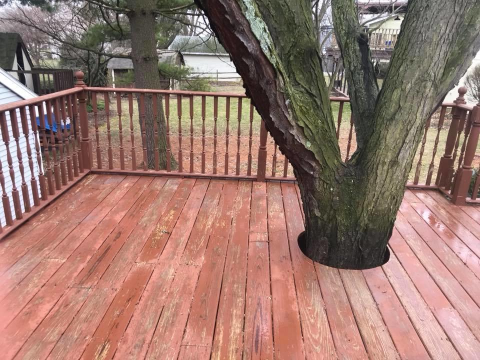 Elite Pressure Washing, LLC Image