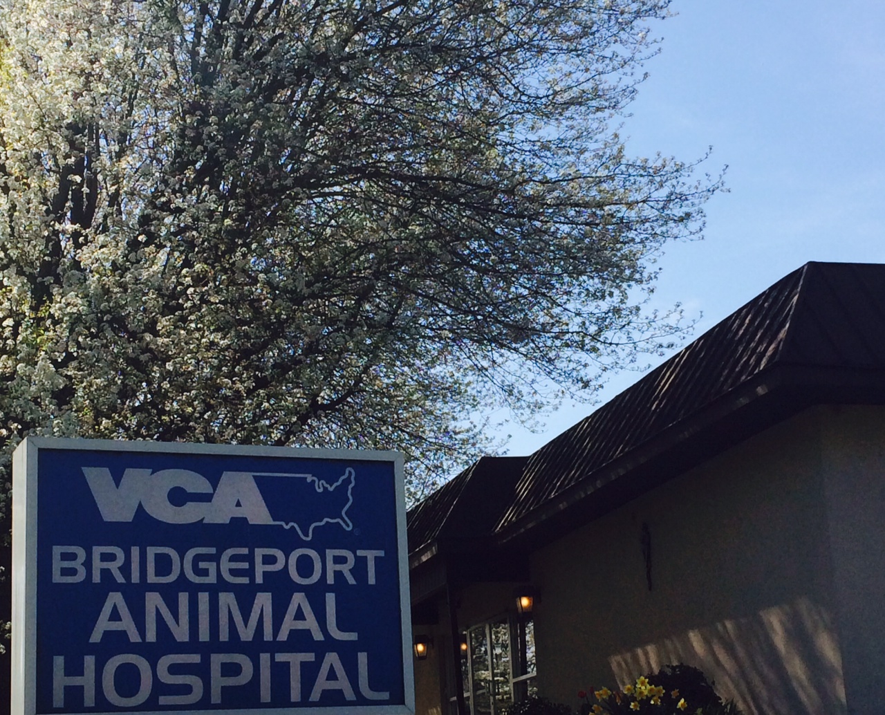 VCA Bridgeport Animal Hospital in Lancaster, PA, photo #2