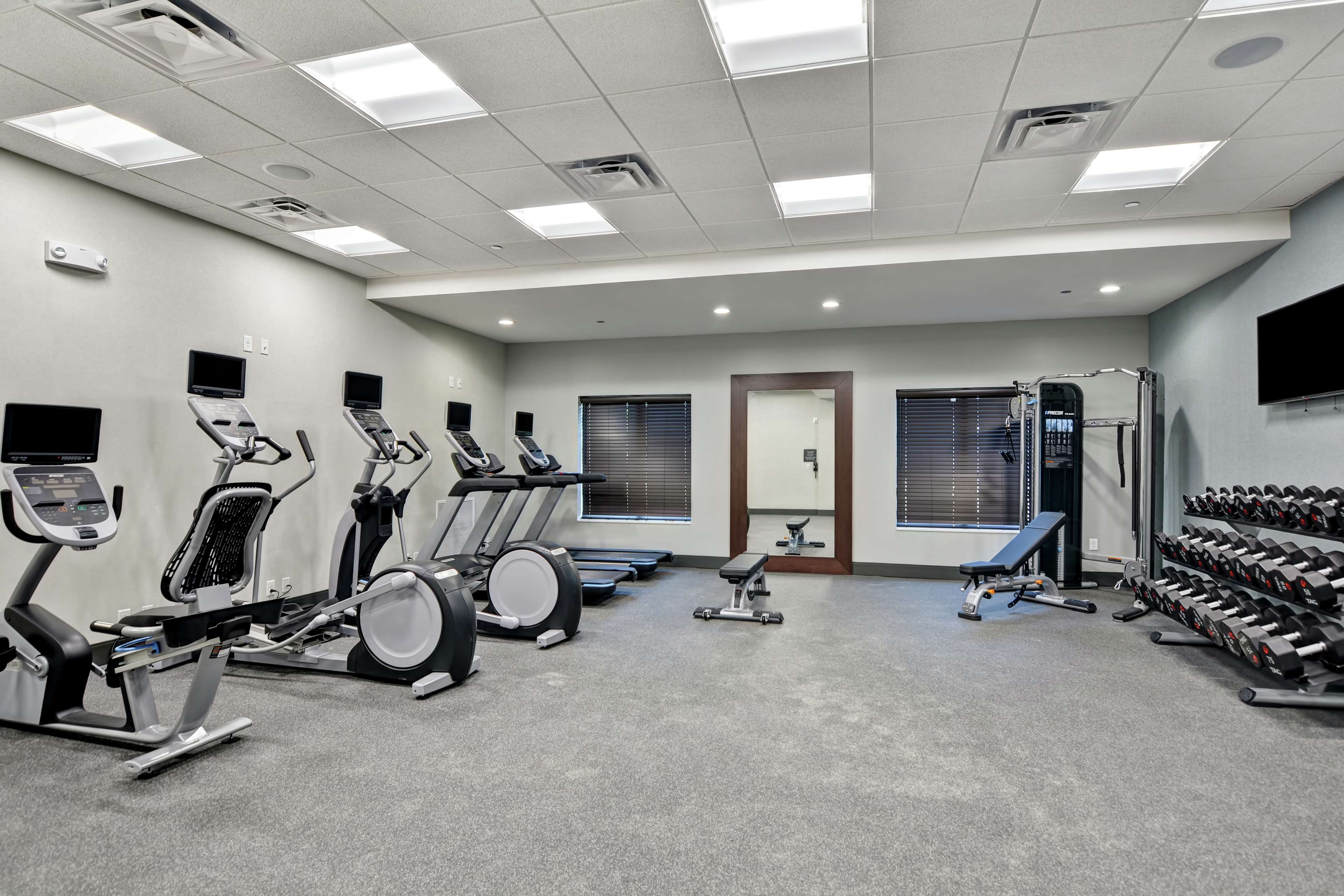 Health club  fitness center  gym