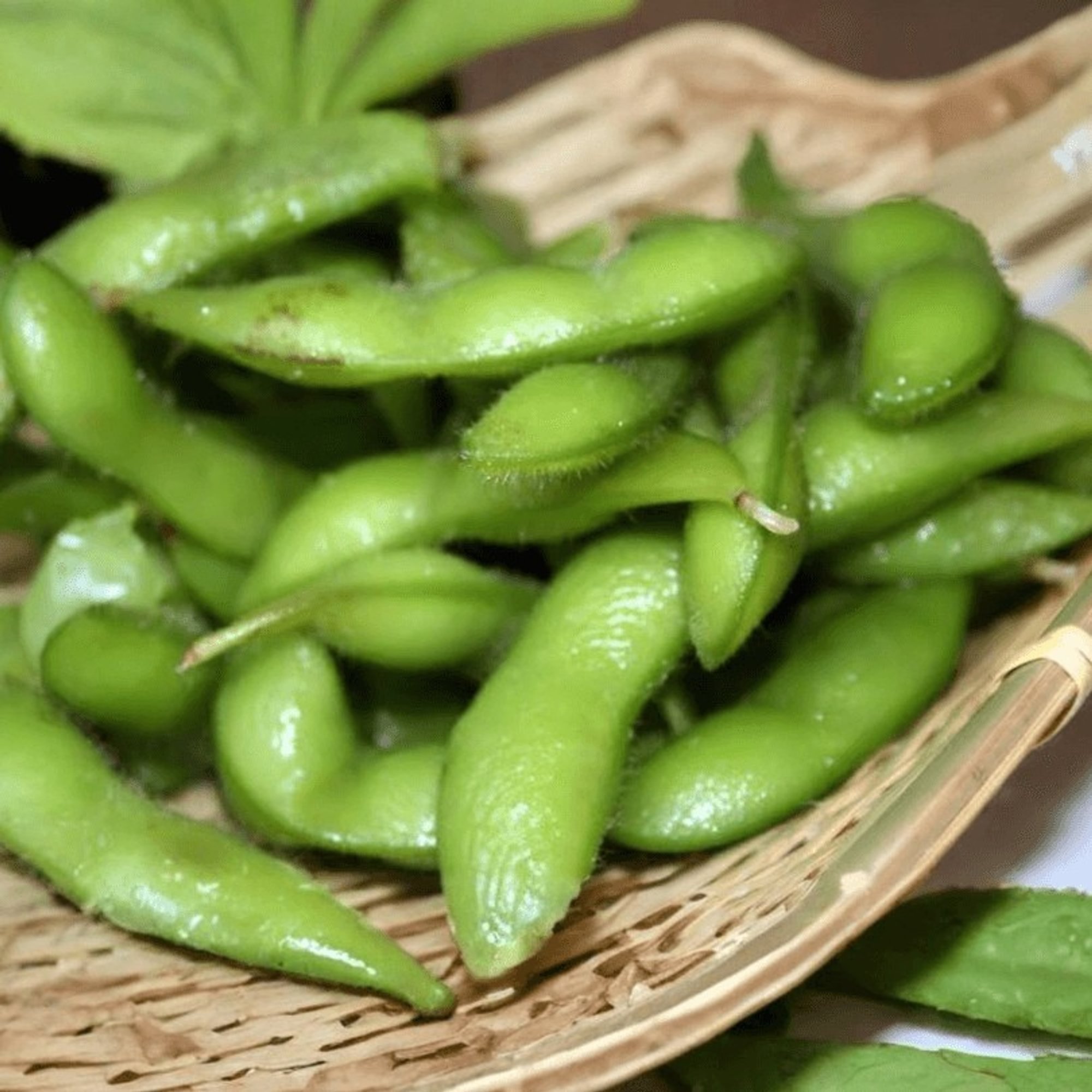 Edamame
