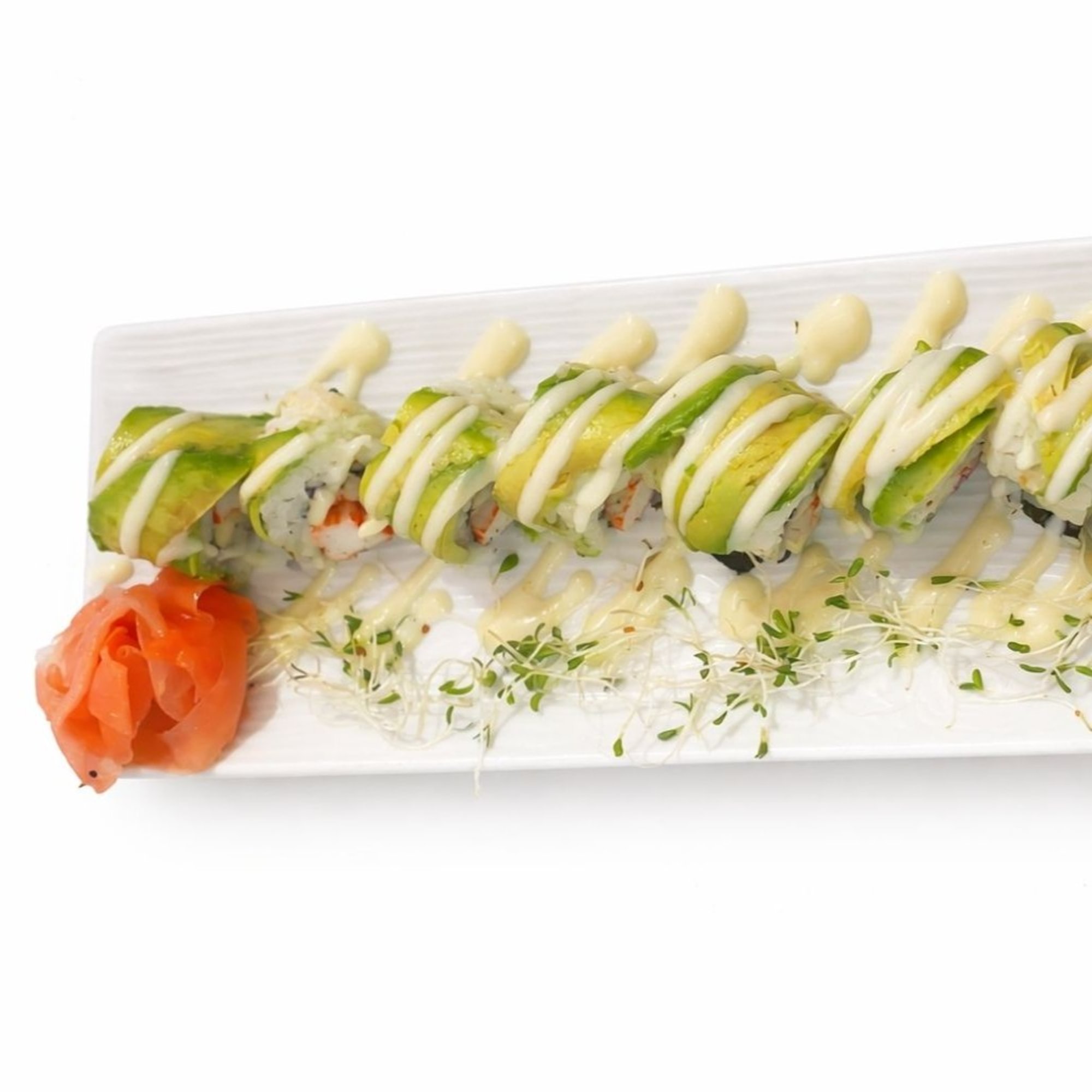Skokie Earth Roll
