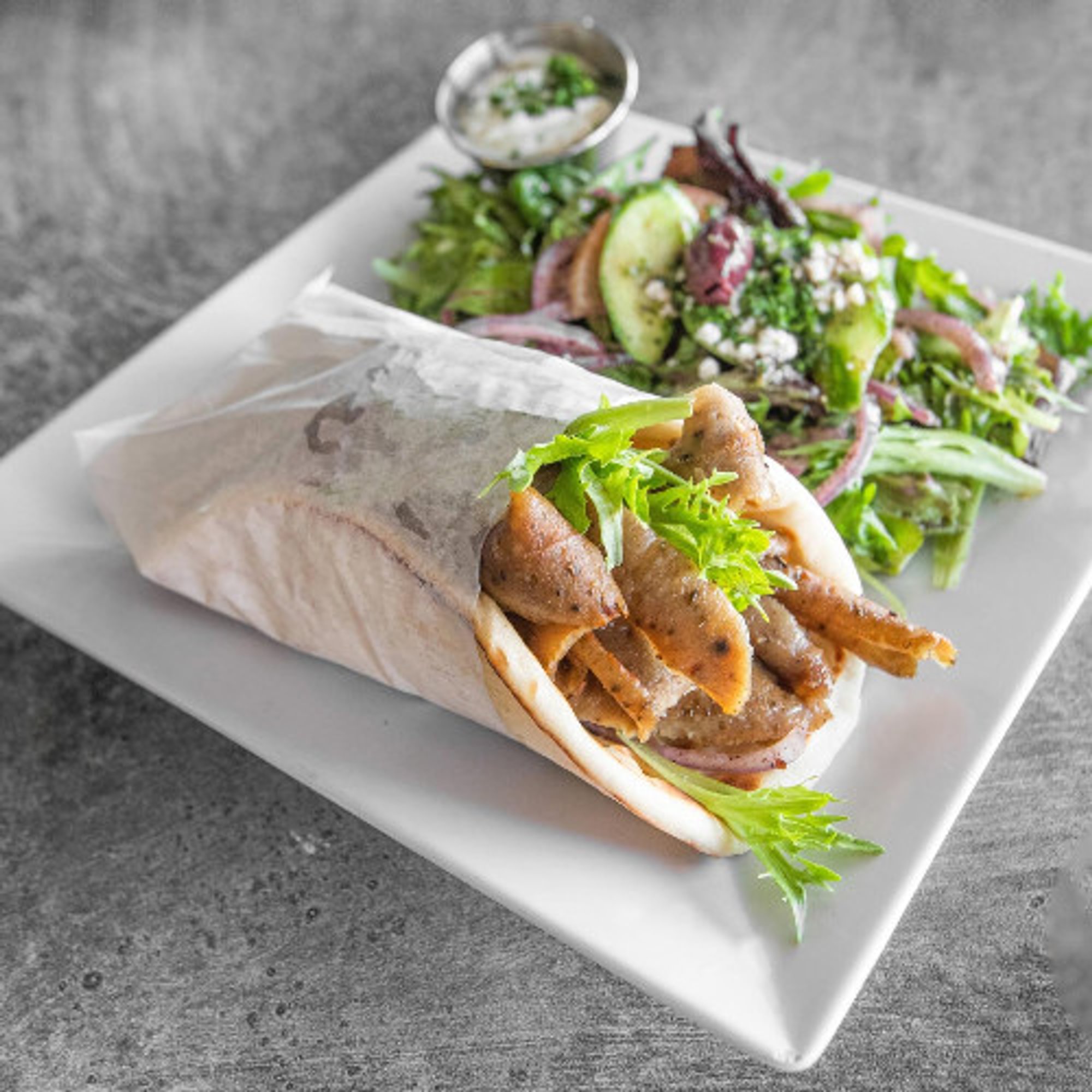 Gyro Sandwich Plate