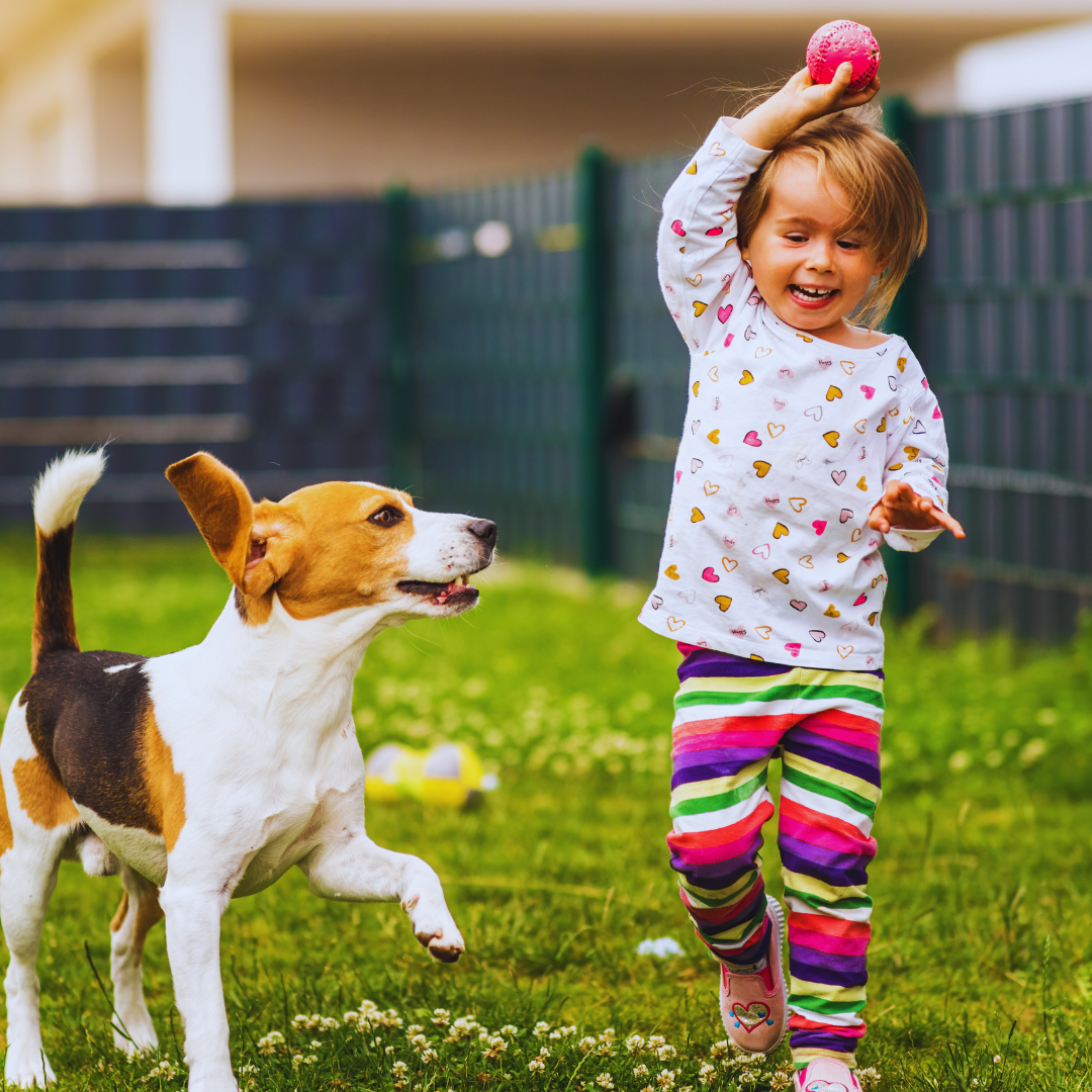 Humane Education