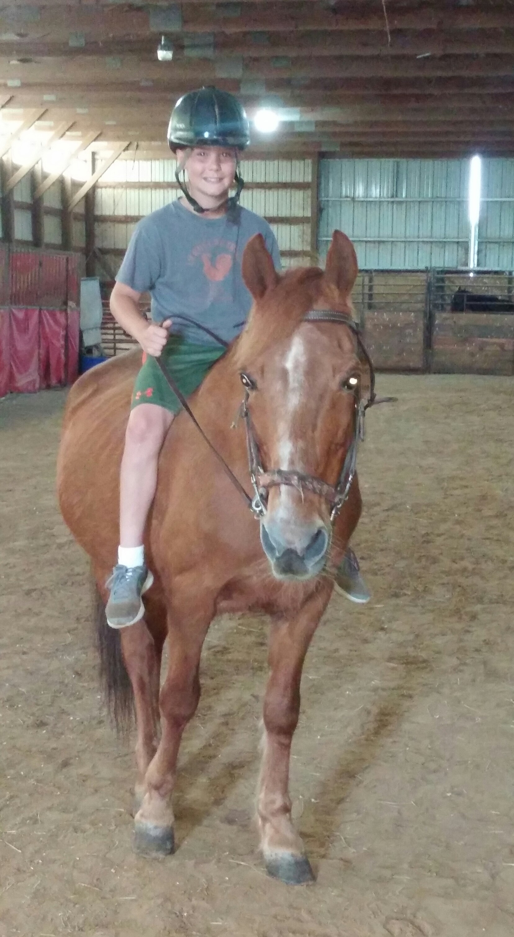 Wright-Way Equestrian Center Inc. Photo