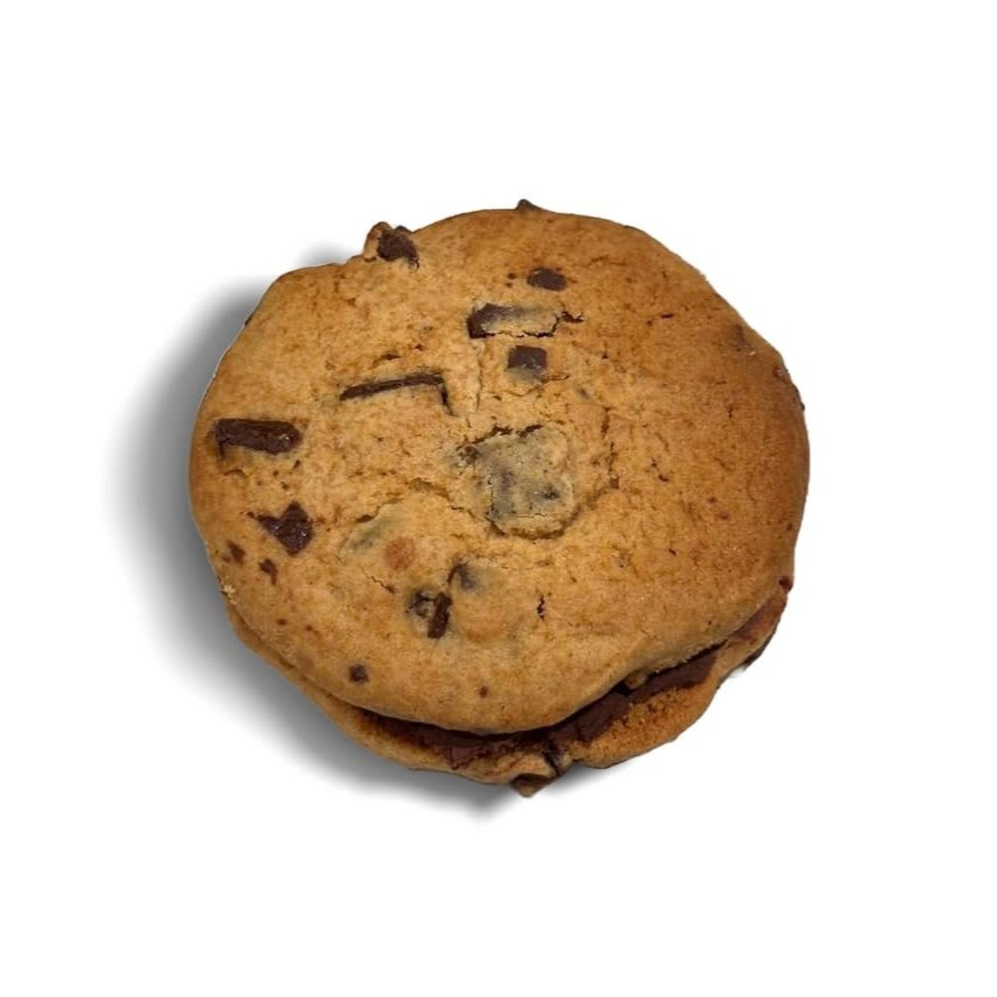 Double Chocolate Cookie