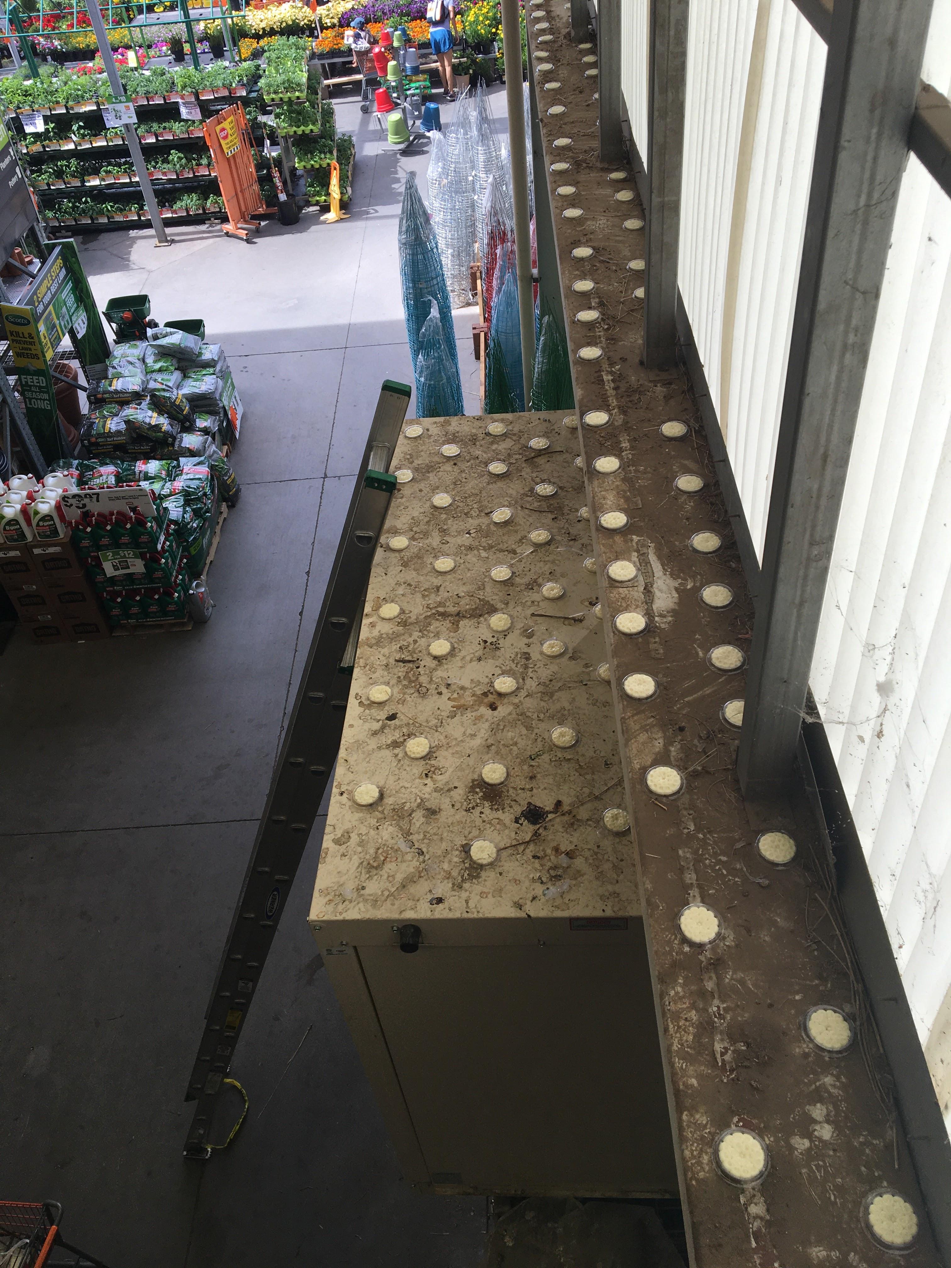 Commercial Panes of Arizona Image