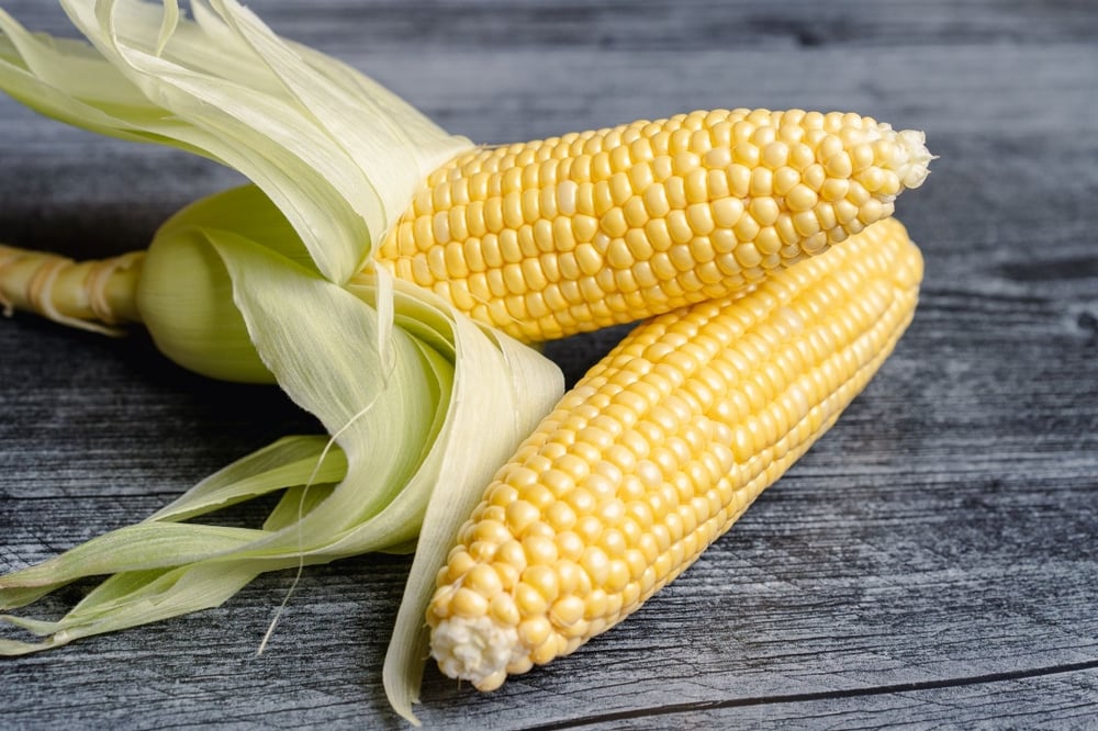 Corn on the Cob