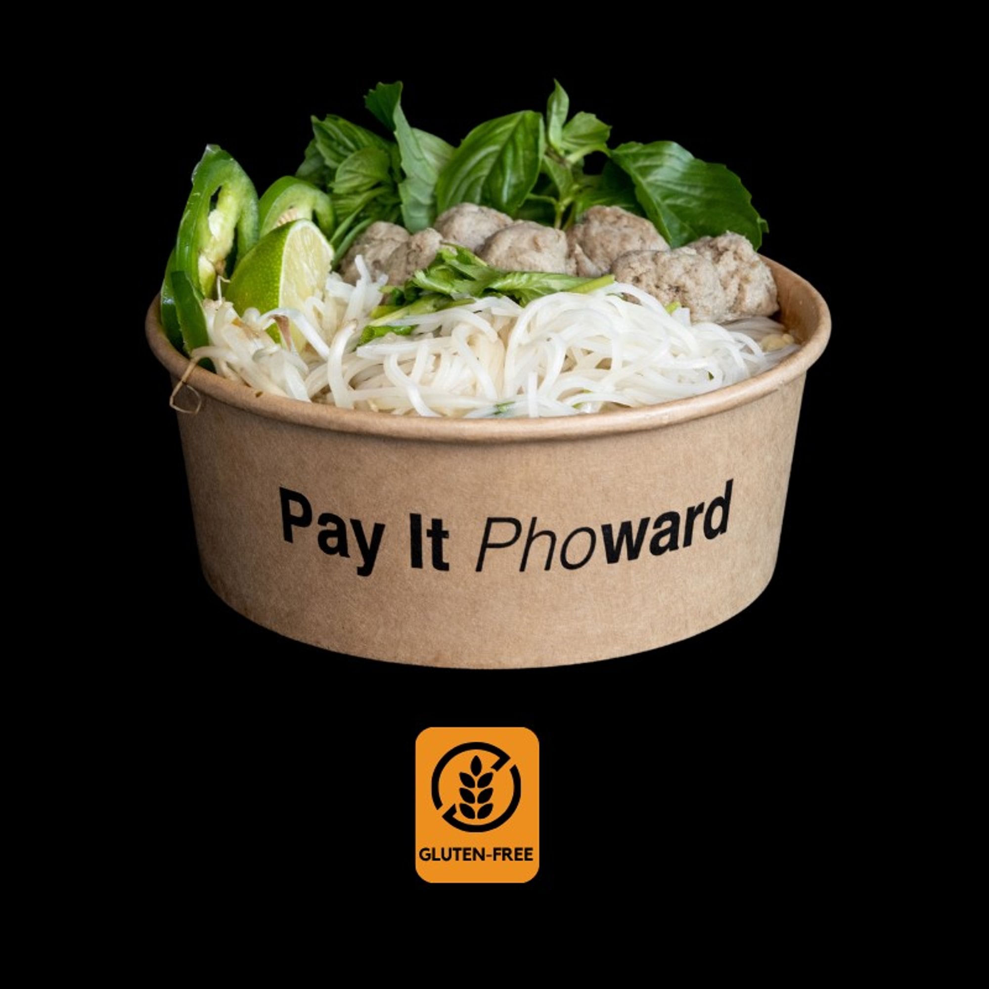 Pasture Raised Hand Crafted Beef Meatball Pho