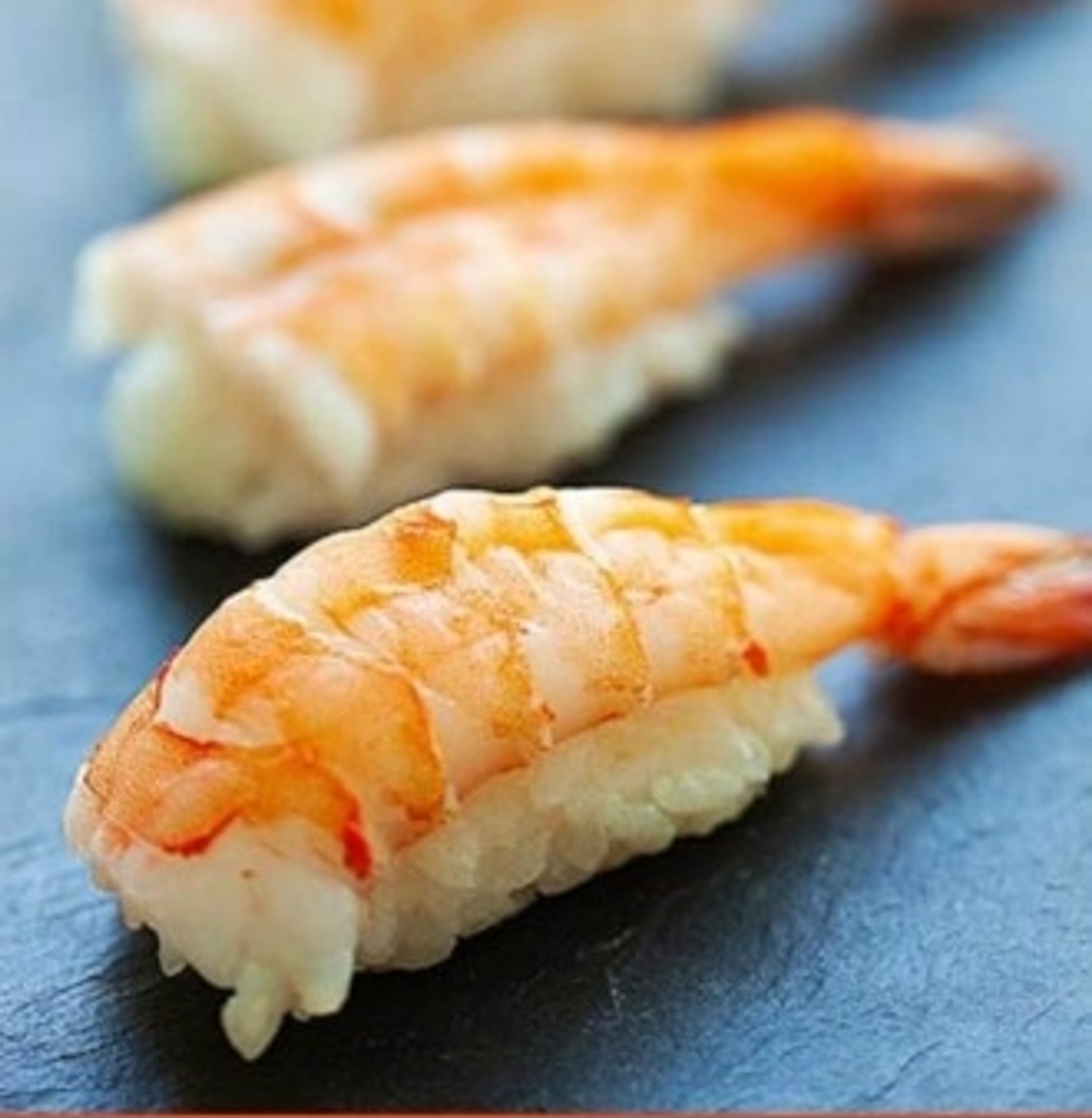 Shrimp