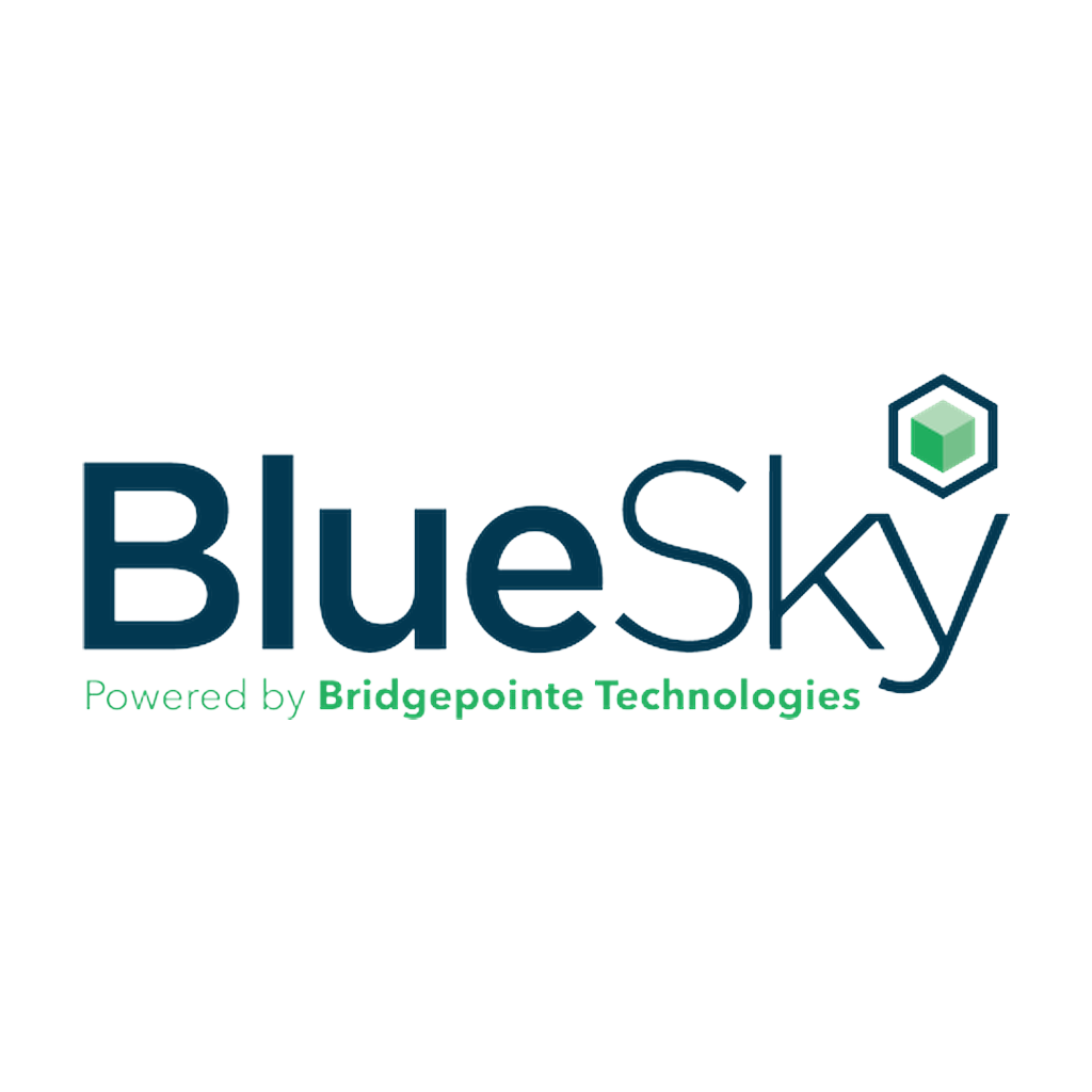 BlueSky IT Partners Logo
