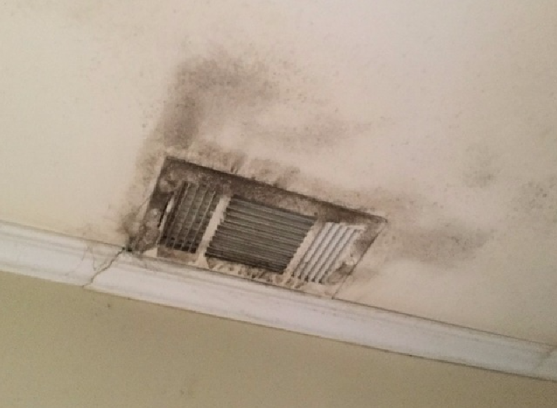 Images HomeTeam Inspection Service