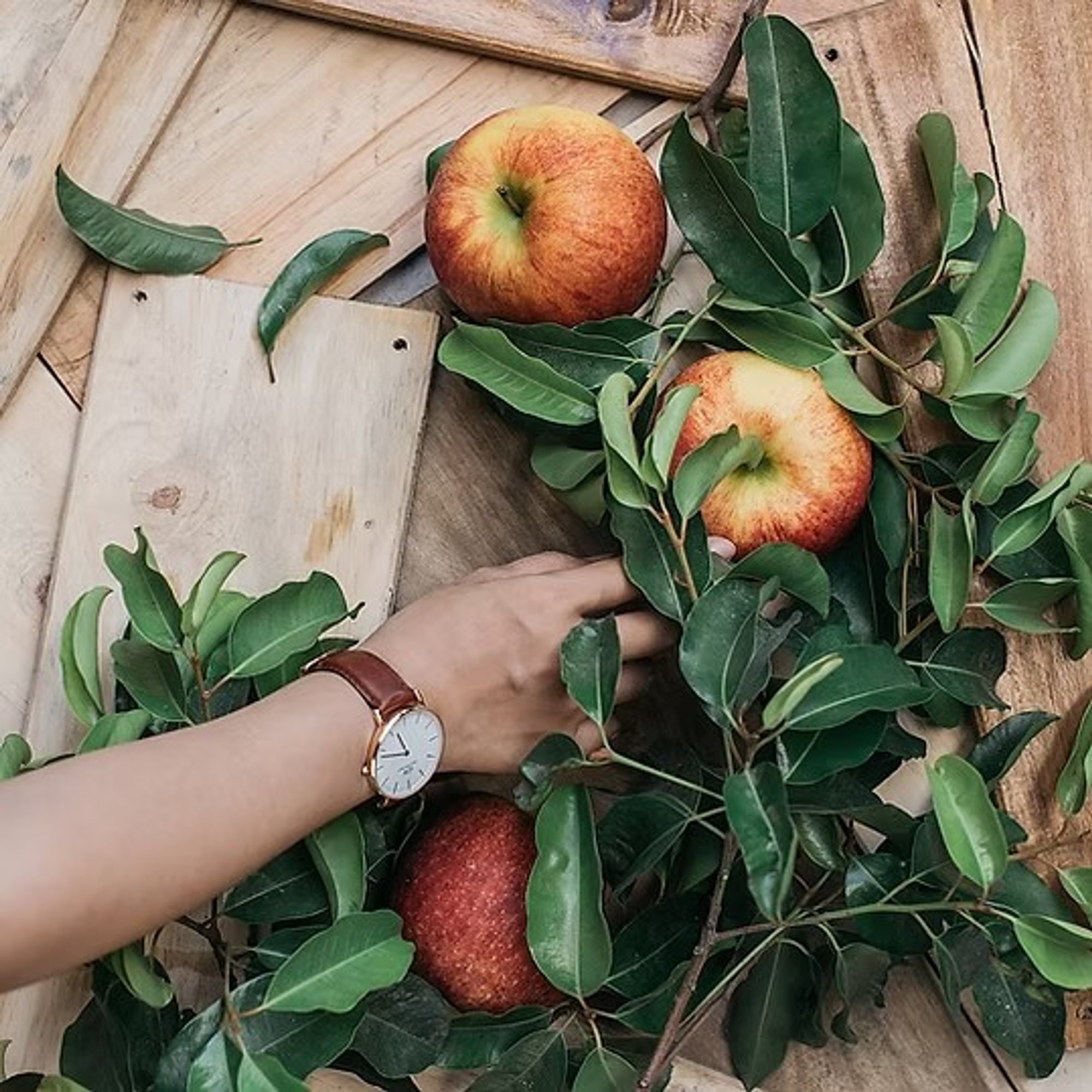 Gravenstein Apple White Balsamic