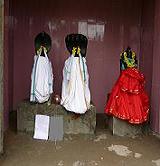 Rahu Ketu Sarpa dosha / Kala Sarpa dosha nivaran pooja