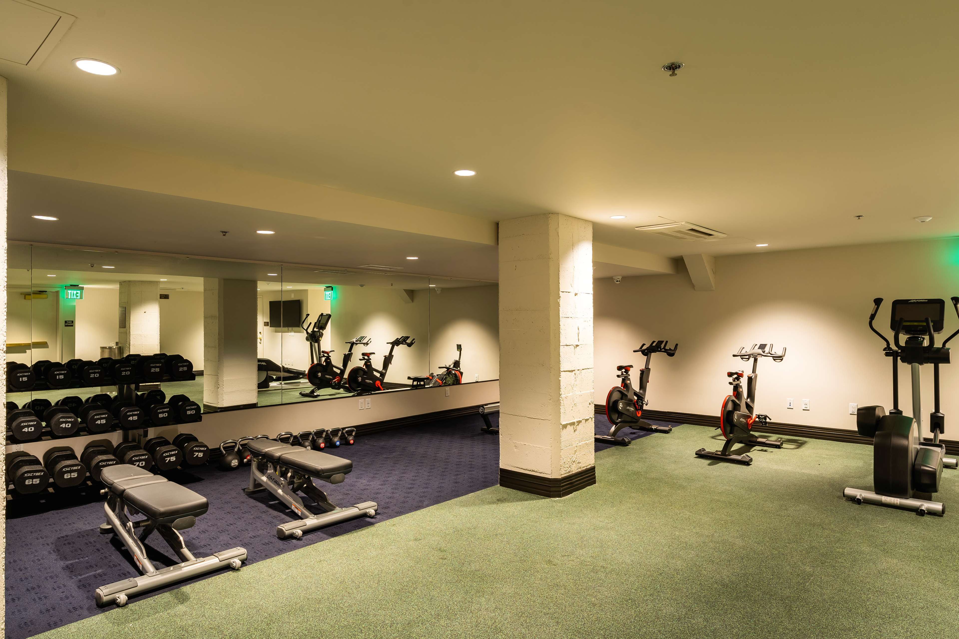 Health club  fitness center  gym