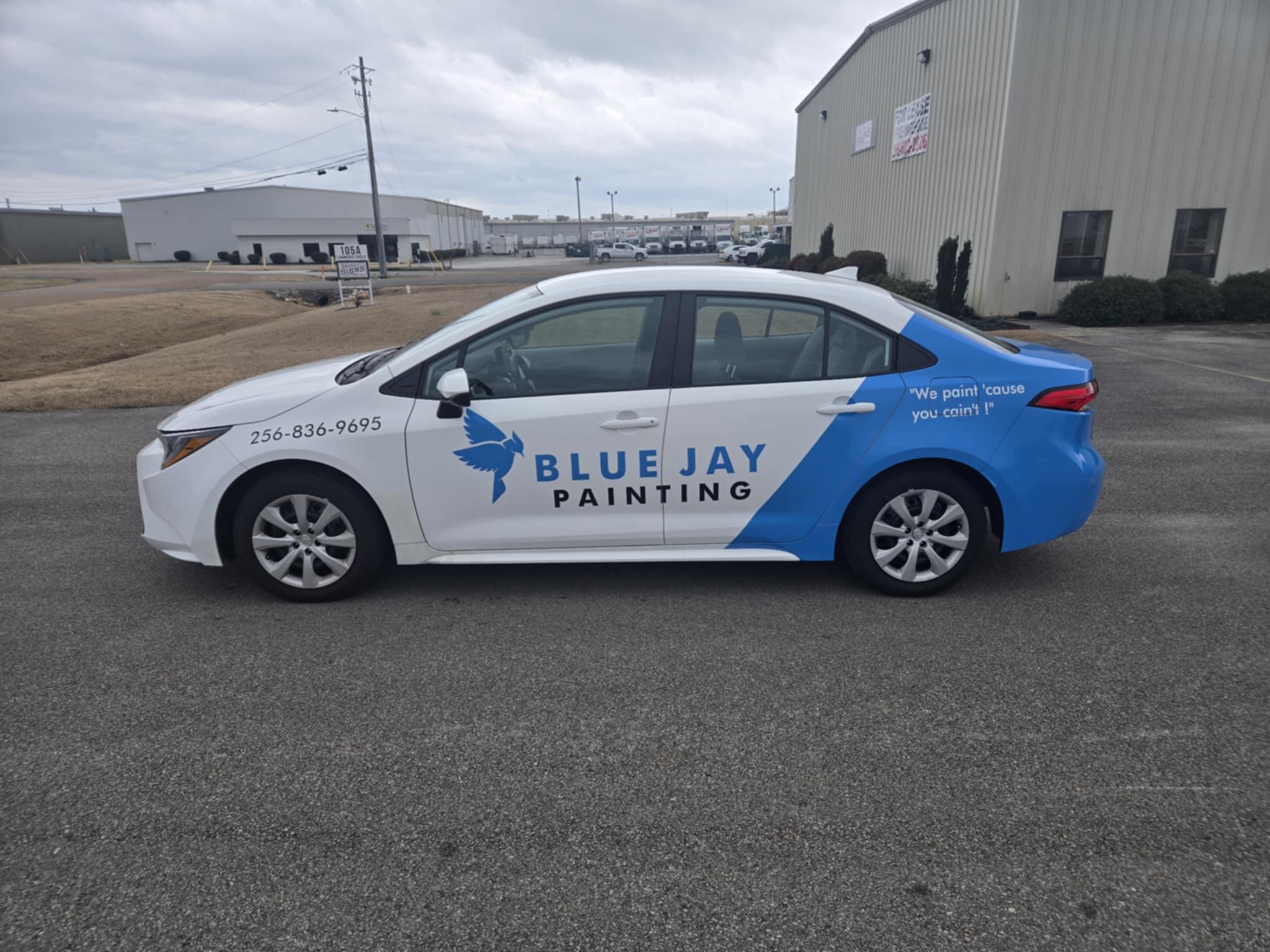 Blue Jay Painting Logo