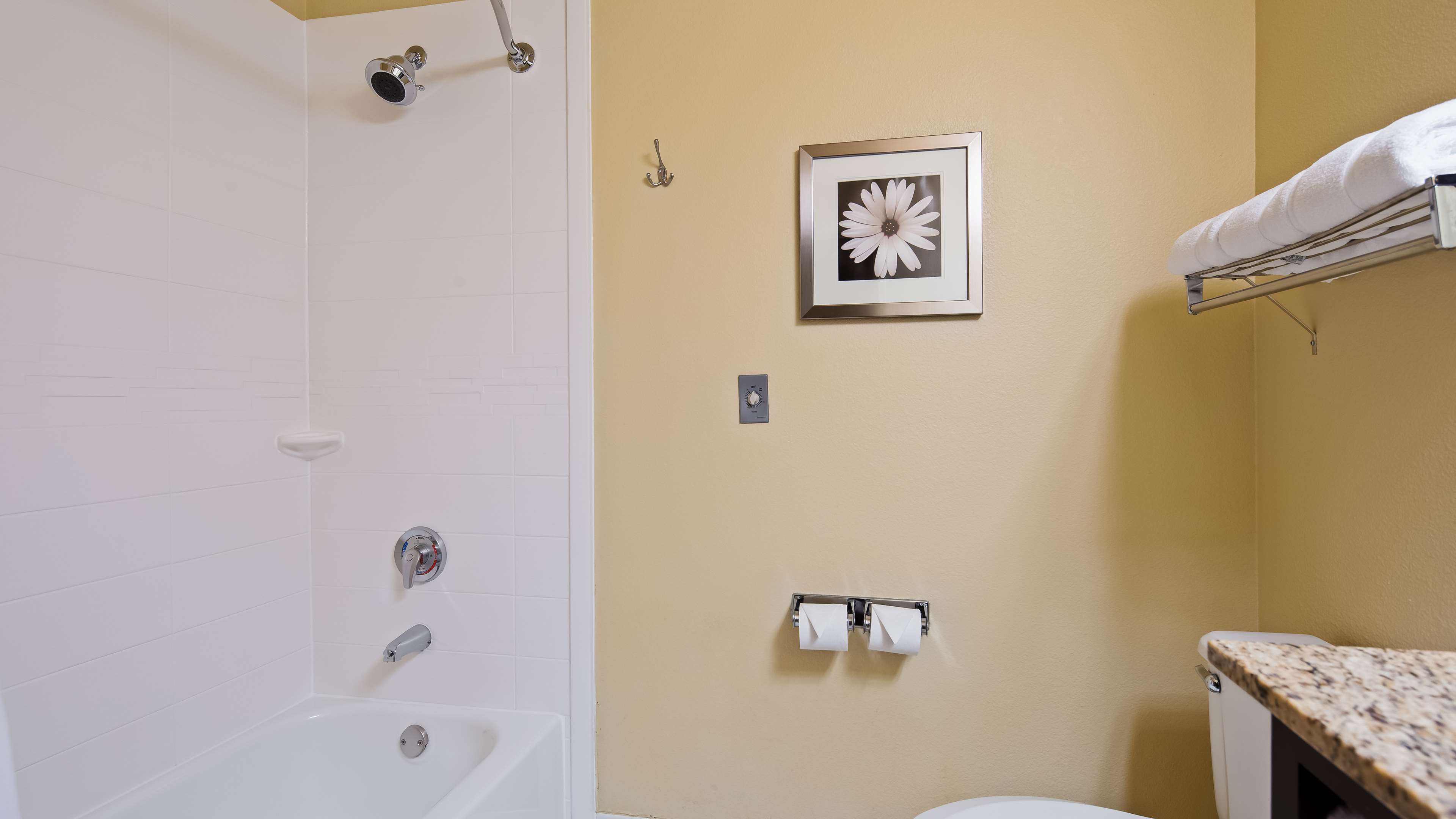 Best Western Plus Plaza by the Green Photo