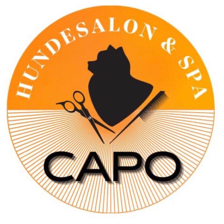 Logo von Hundesalon und Spa Capo
