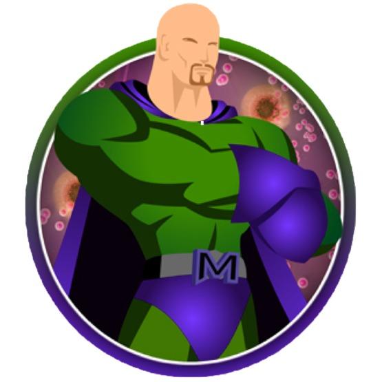 Mr.Mold, Inc