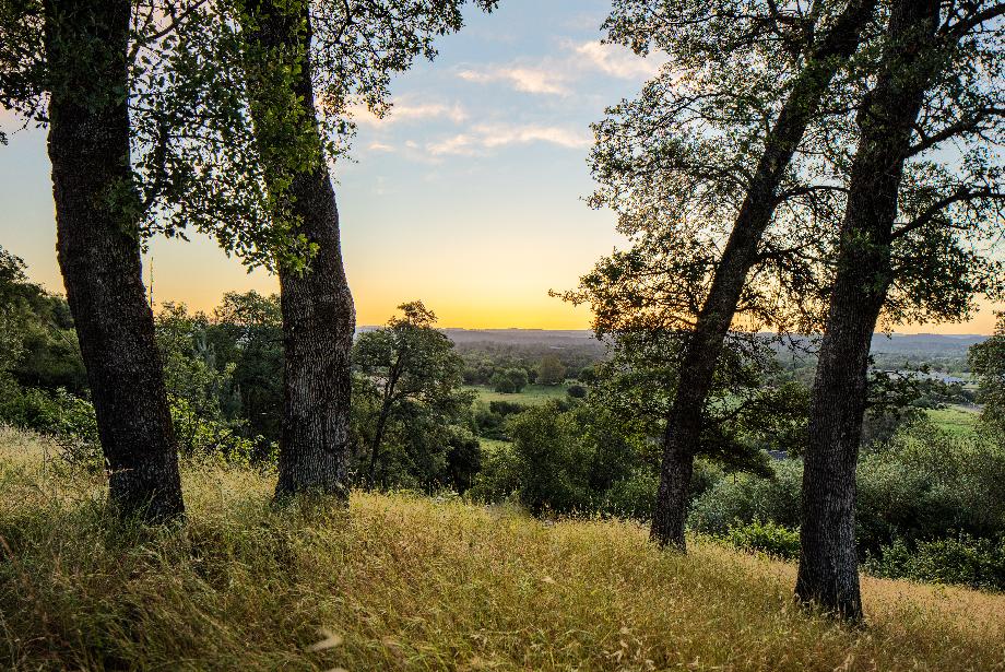 View from one of the Skyline home sites