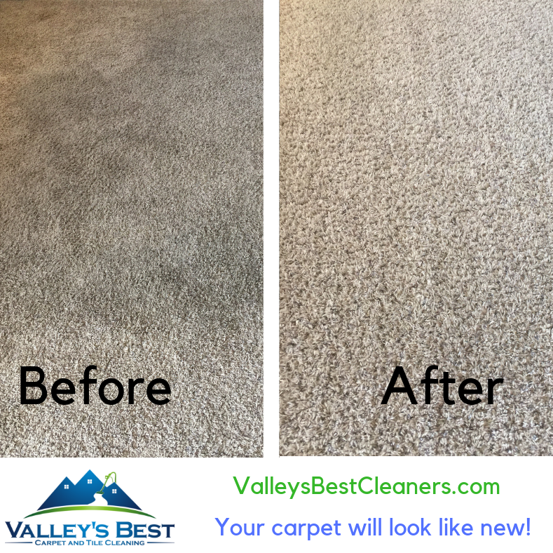 Valley's Best Cleaners carpet cleaning services