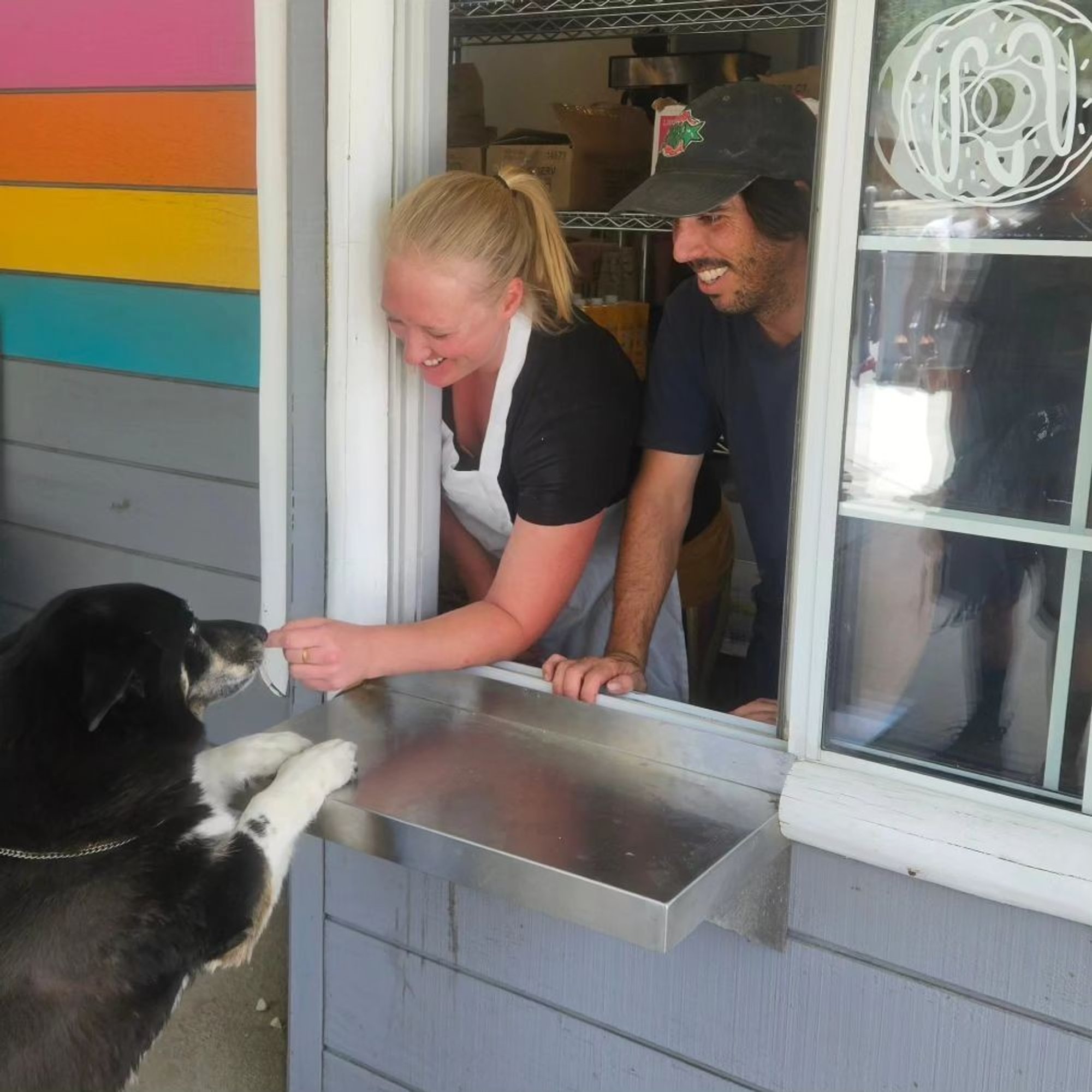 Donate Dog Donut to a Shelter Dog!