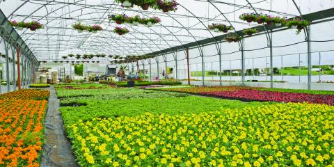 Northgate Greenhouses Photo