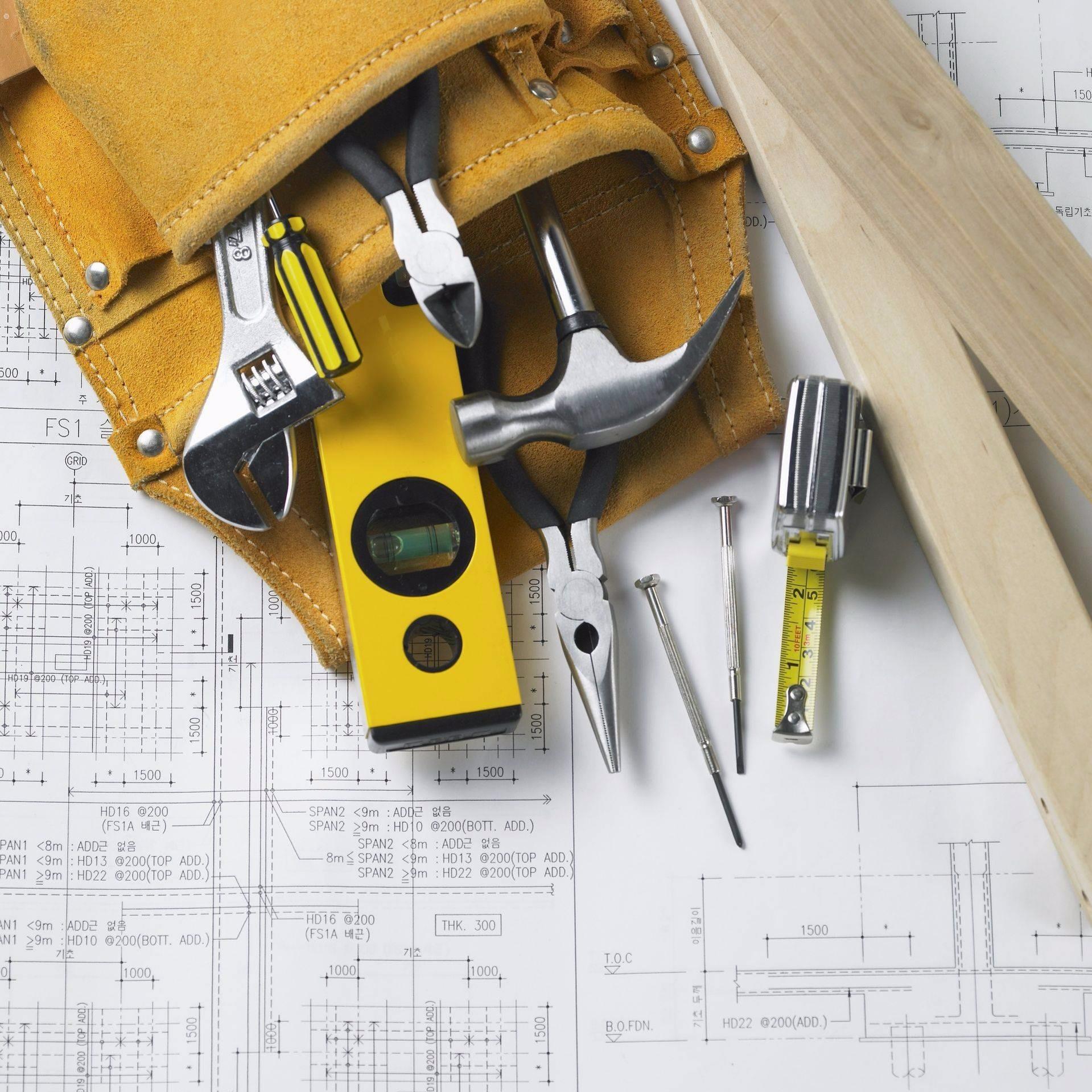 Celaya Property Maintenance Logo