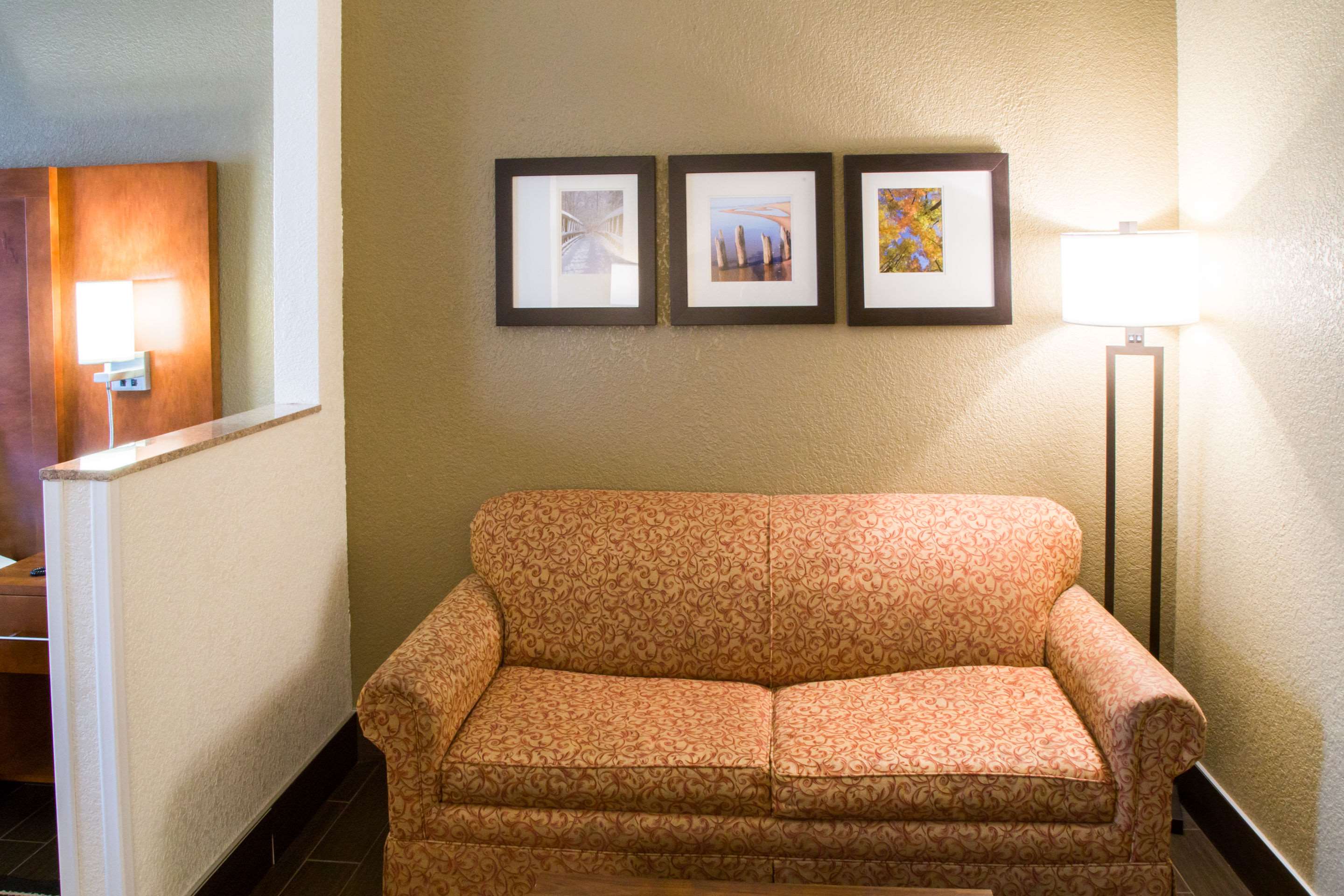 Comfort Suites South Photo