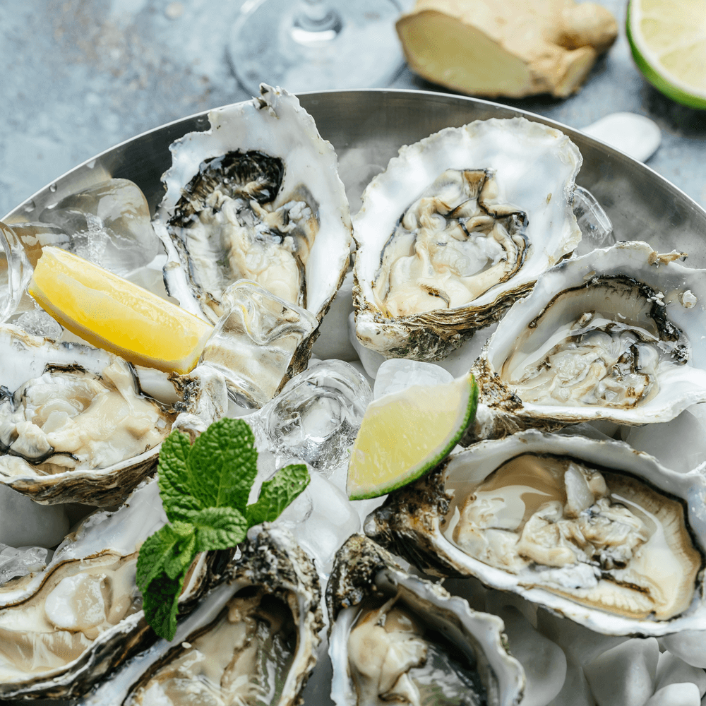 Oysters