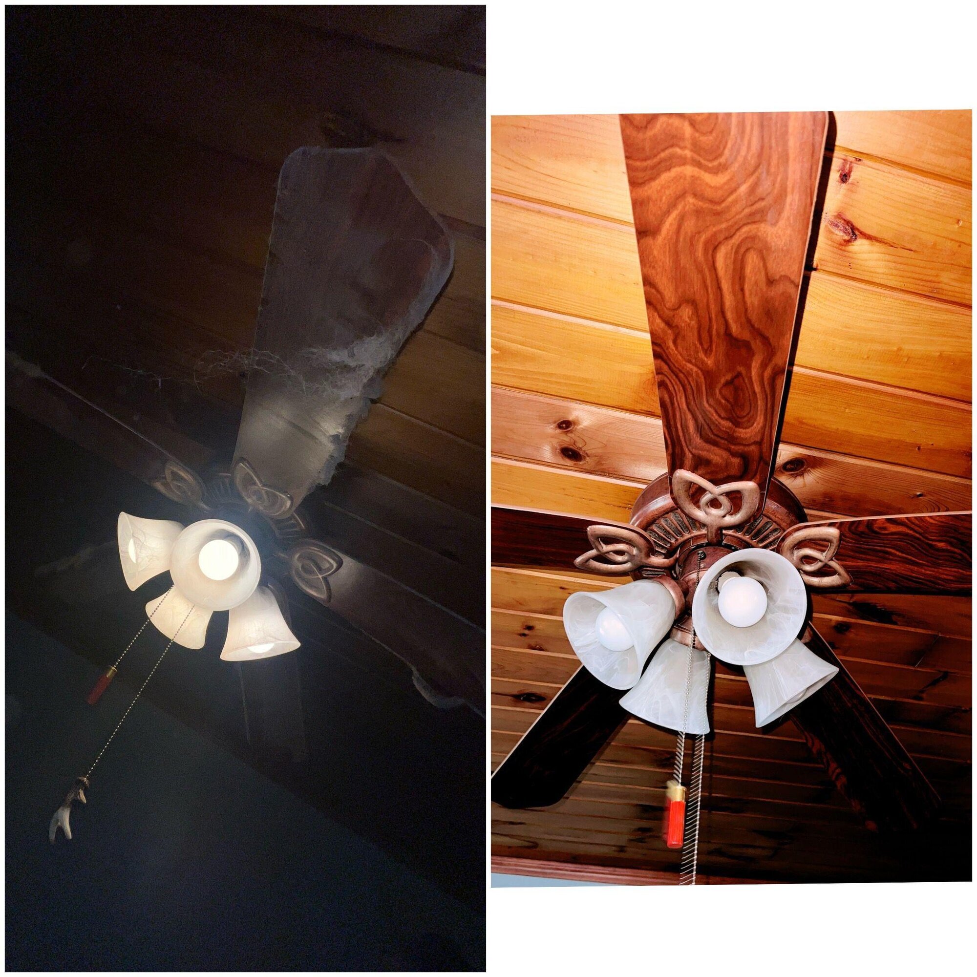 Power of Love Cleaning Services Image