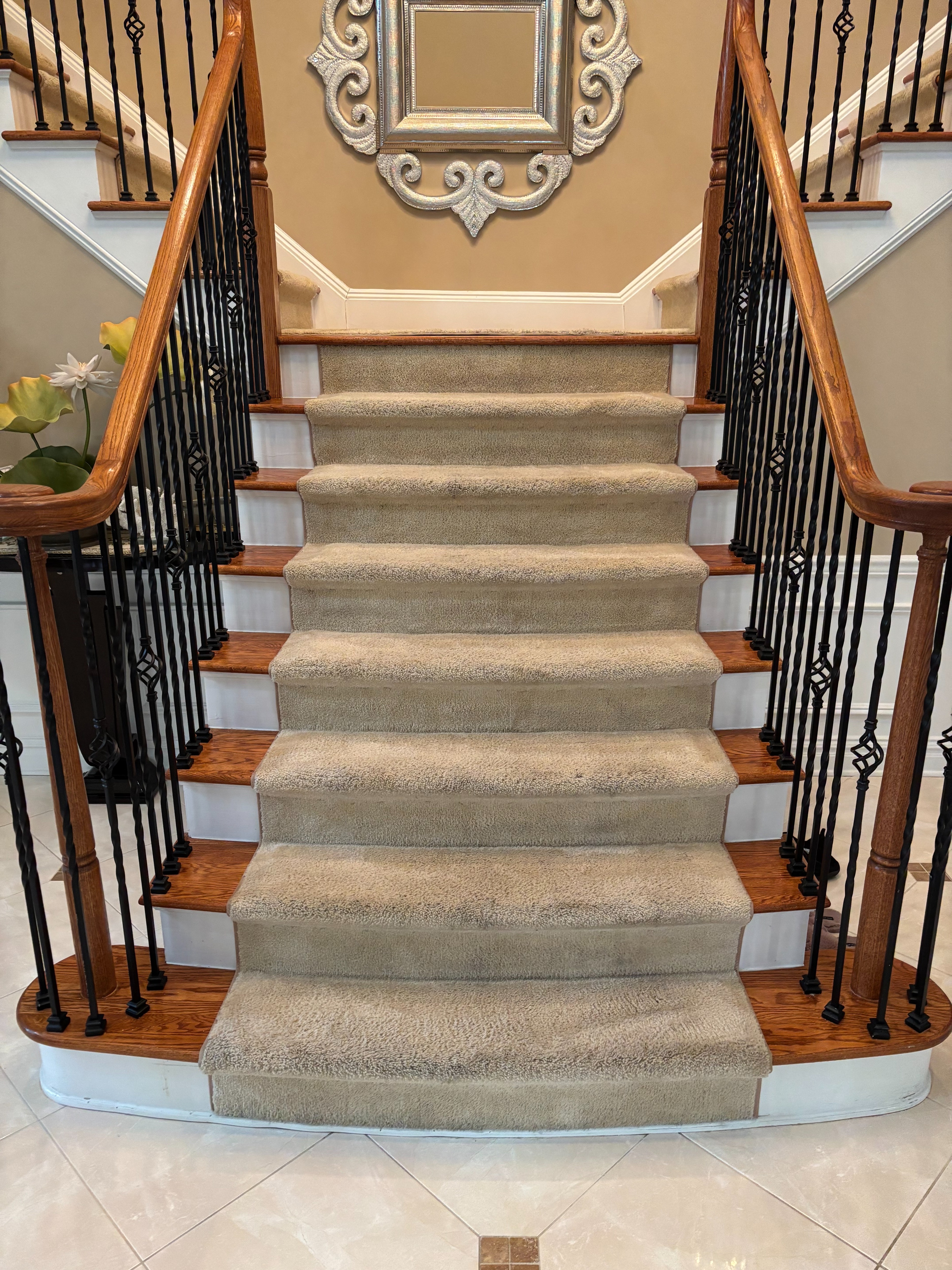 Elite Green Carpet Cleaning Image