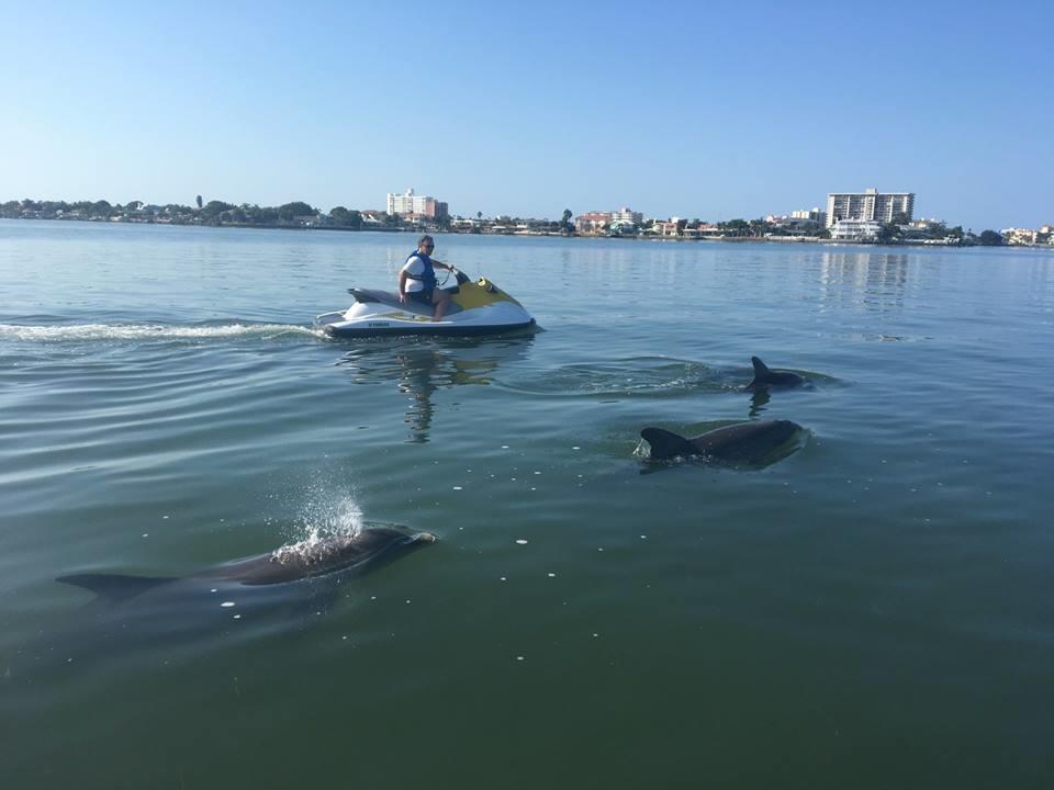 Clearwater Beach Waverunner Rentals Photo