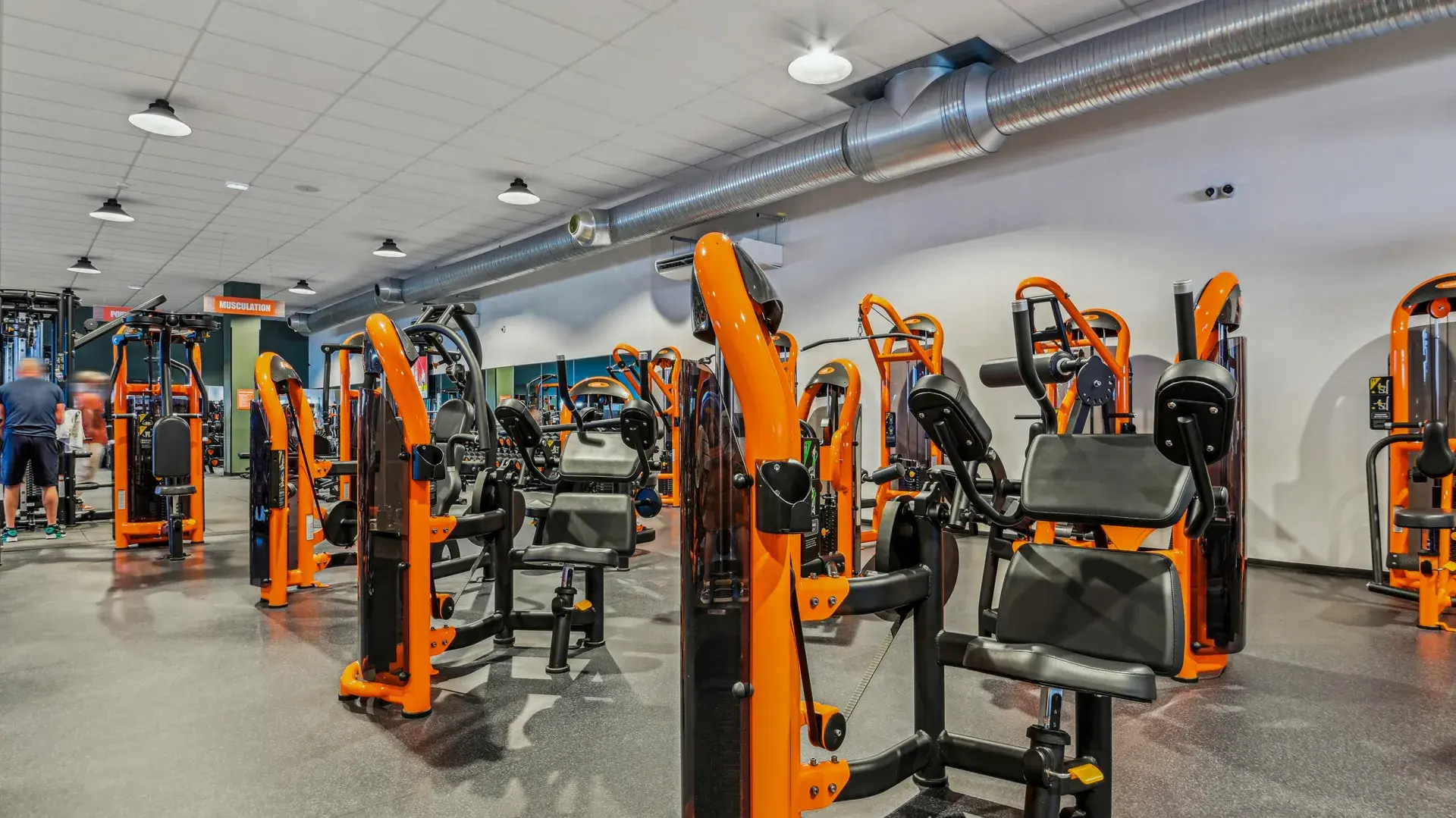 Miniature de la galerie