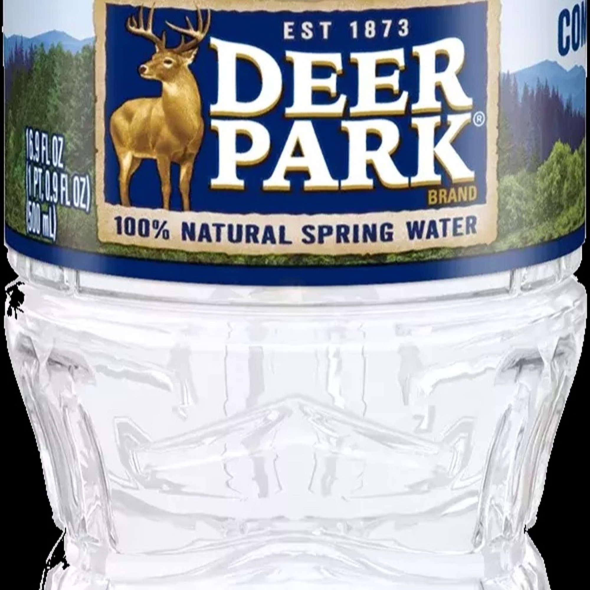 Bottle of Water (16oz)