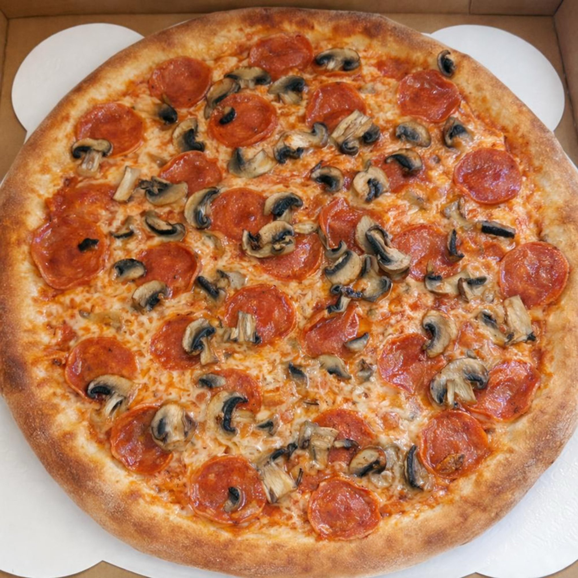 Large 16" Cheese Pizza &20 Wings