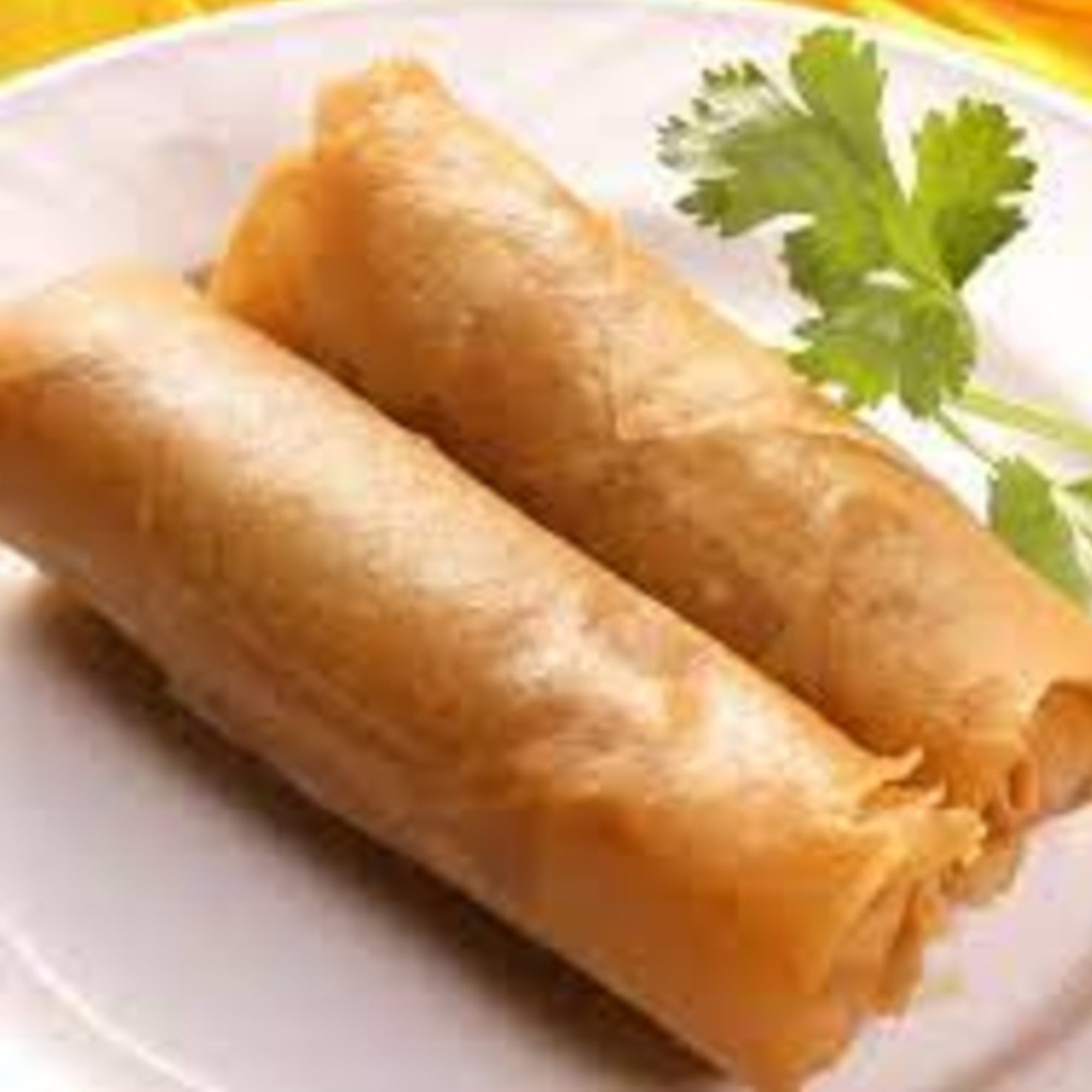 Japanese Fried Spring Rolls