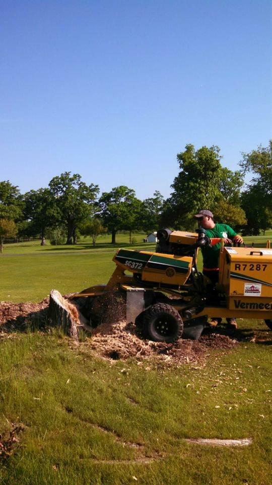 New Beginning Tree Service Company Image