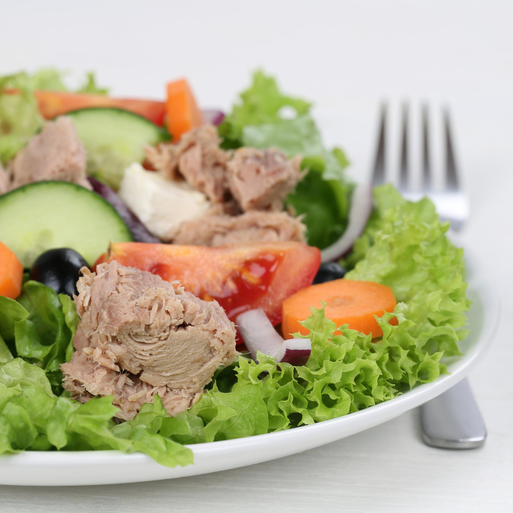 Appetizer Tuna Fish Salad