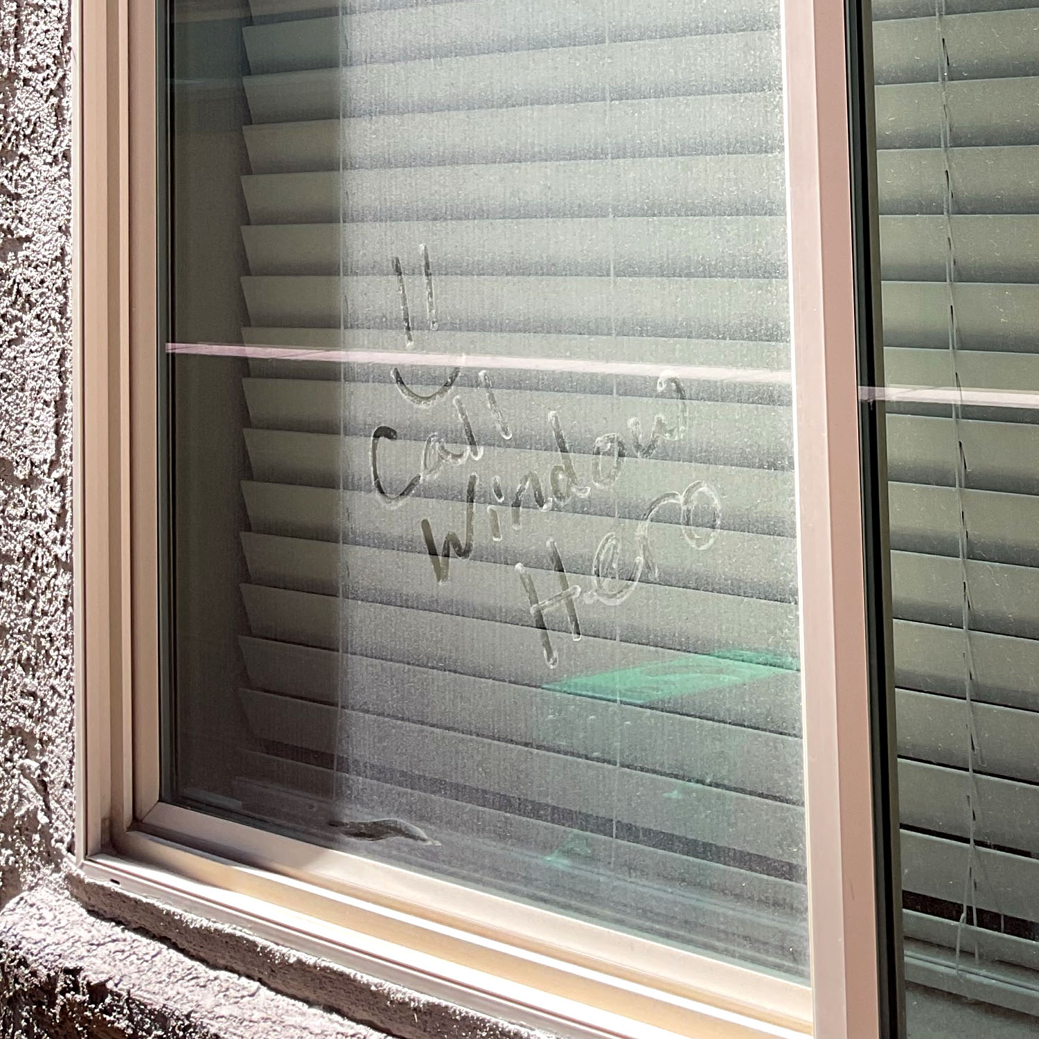 Window Hero Charlotte Image