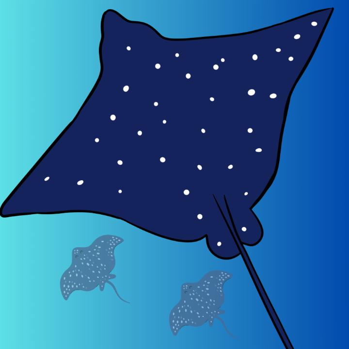 Eagle Ray Workshop