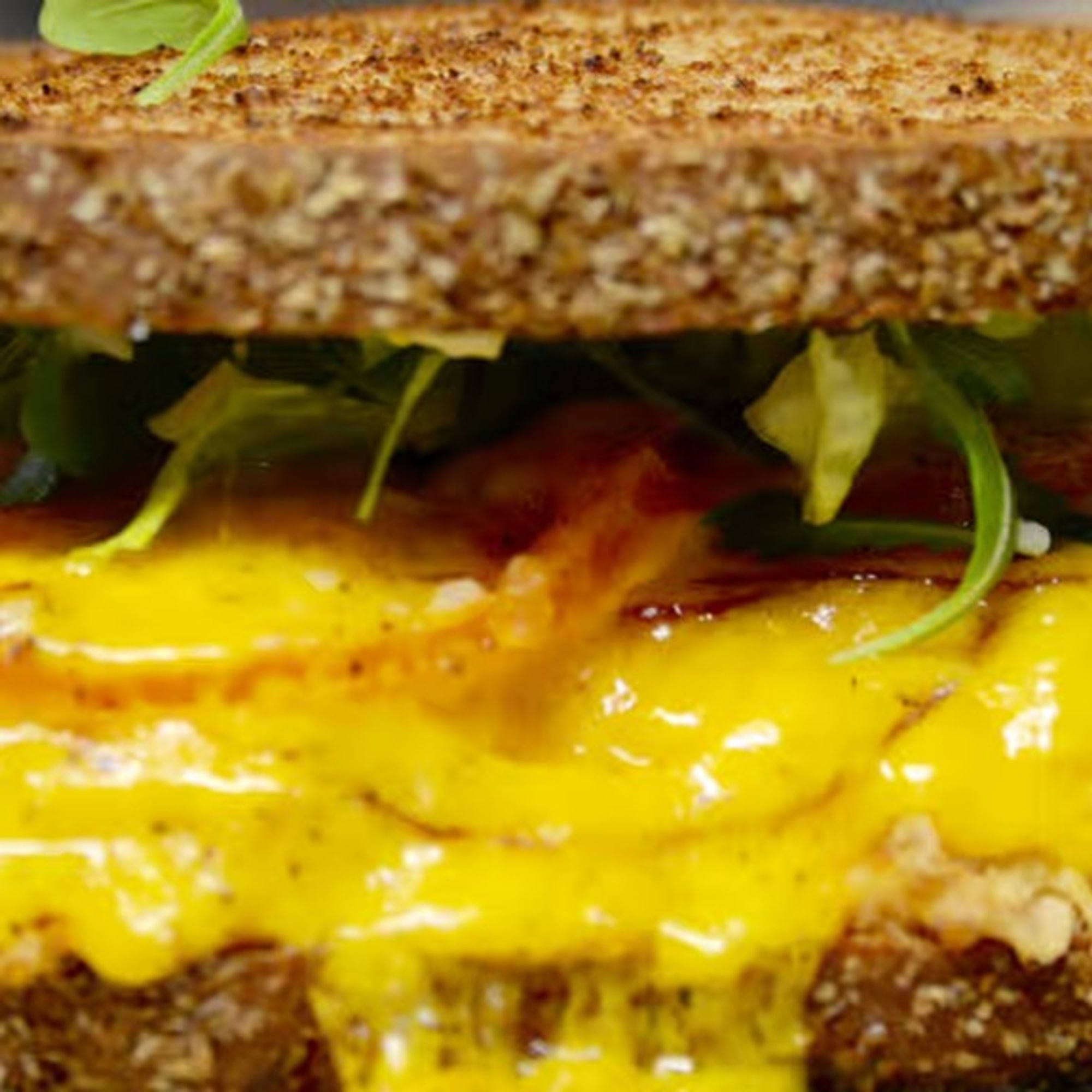 17. Tuna melt (warm)