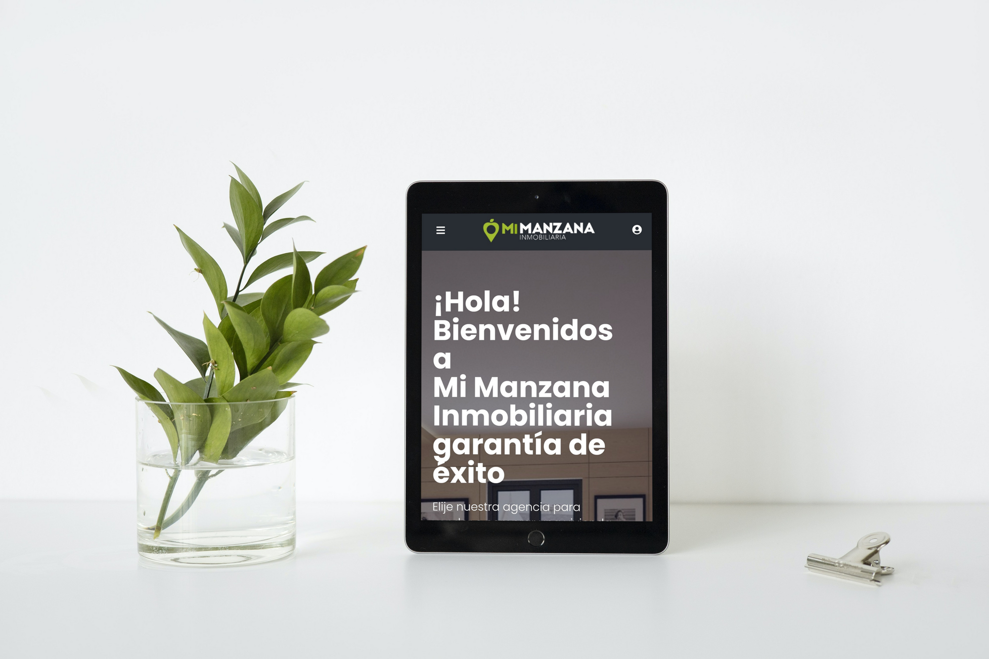 Galería en miniatura